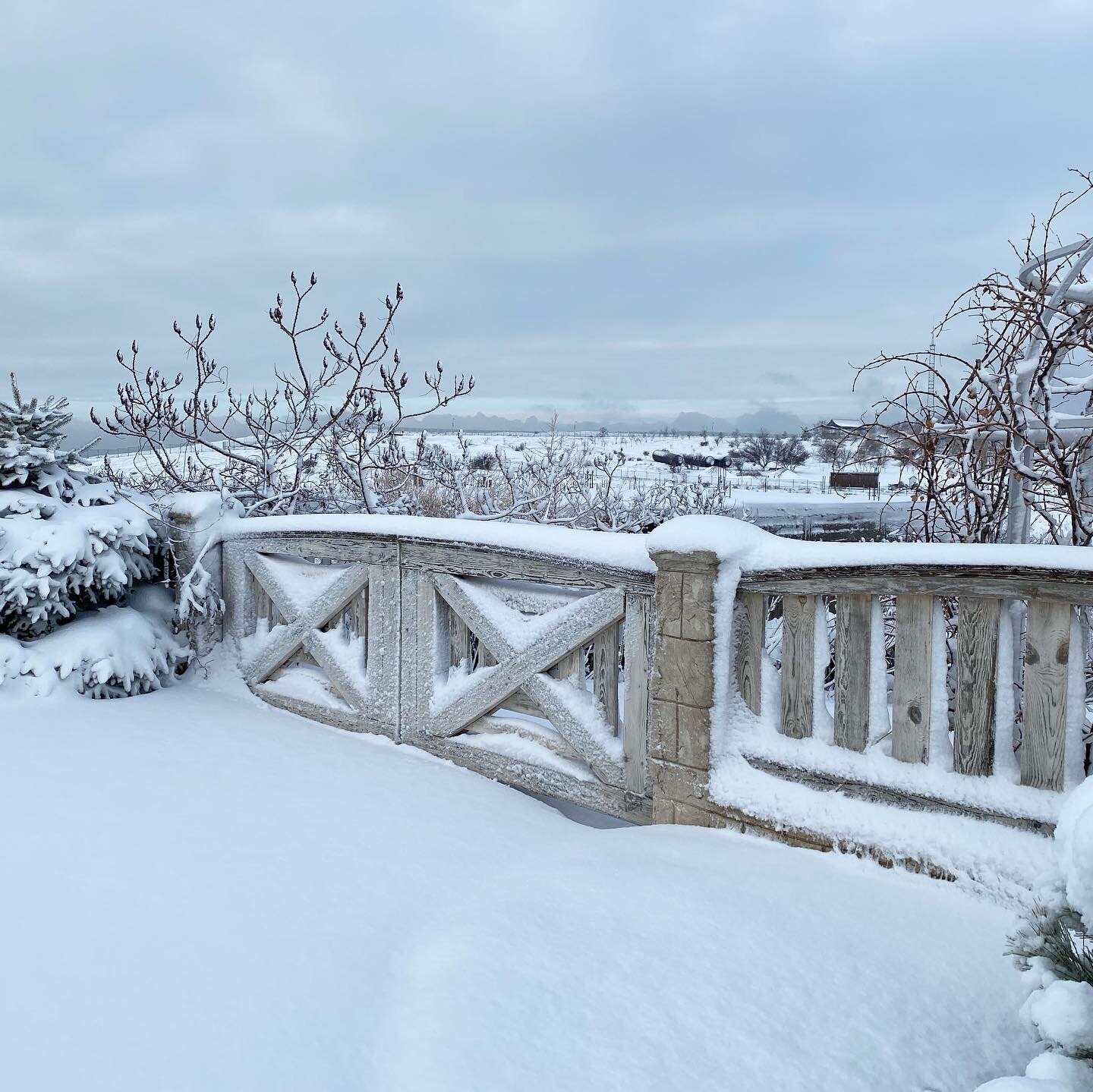 Фото Александрия