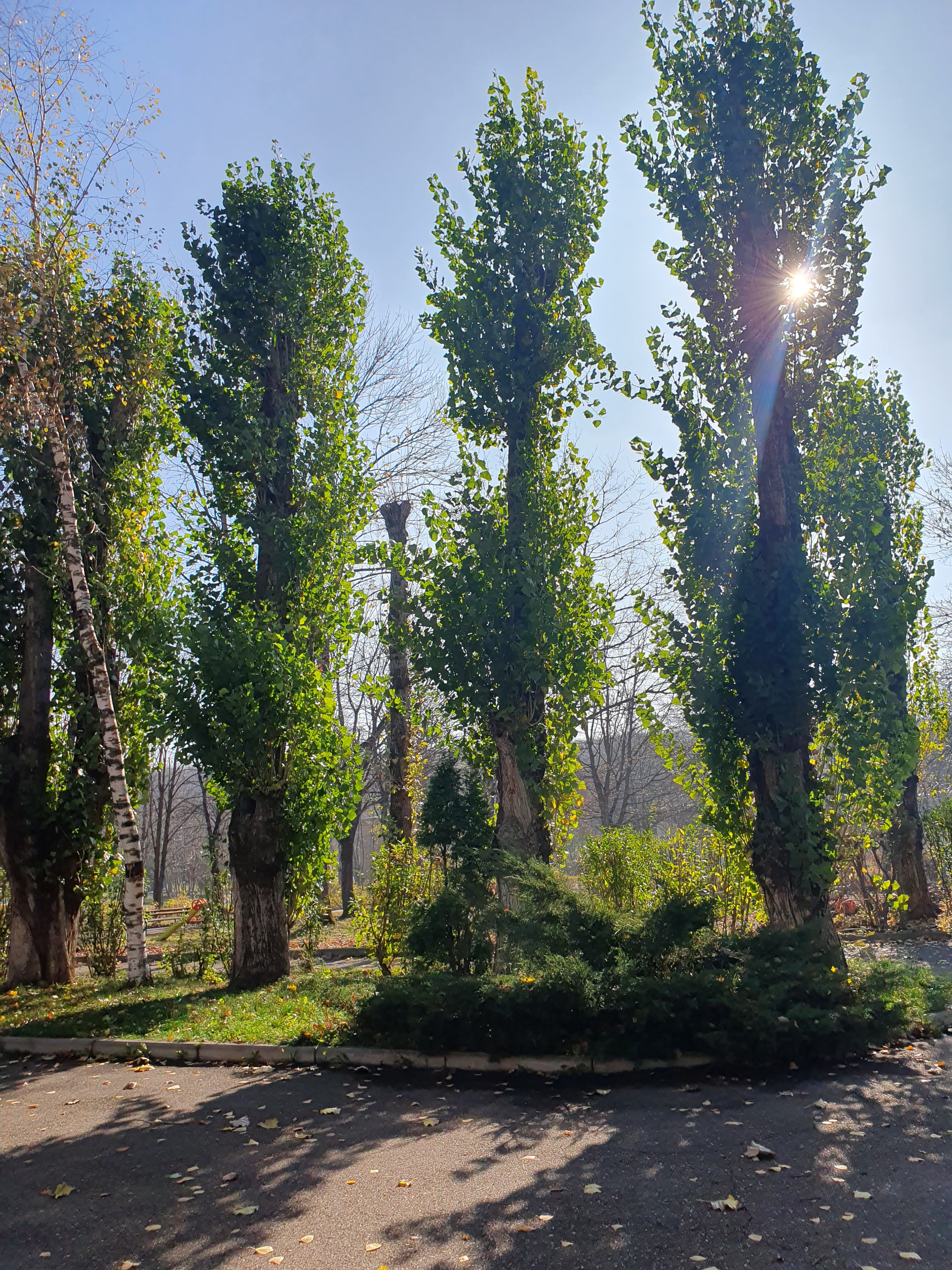 Фото Геолог Казахстана