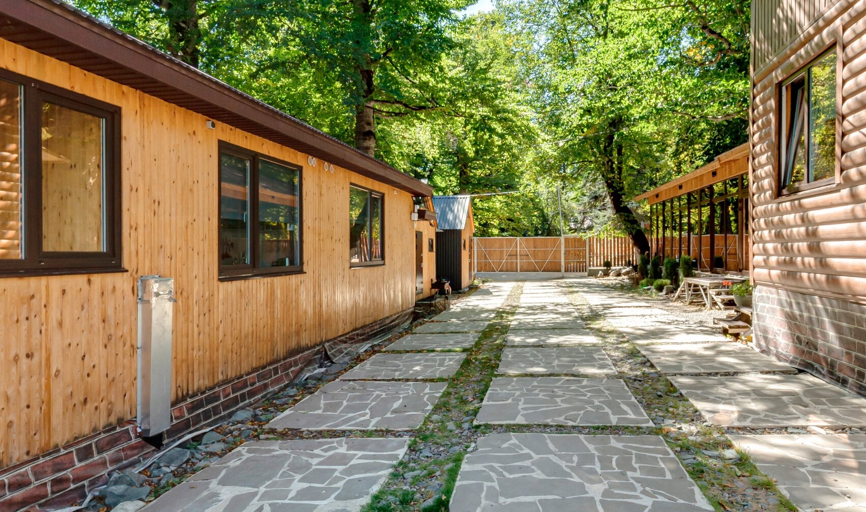 Фото Чинара