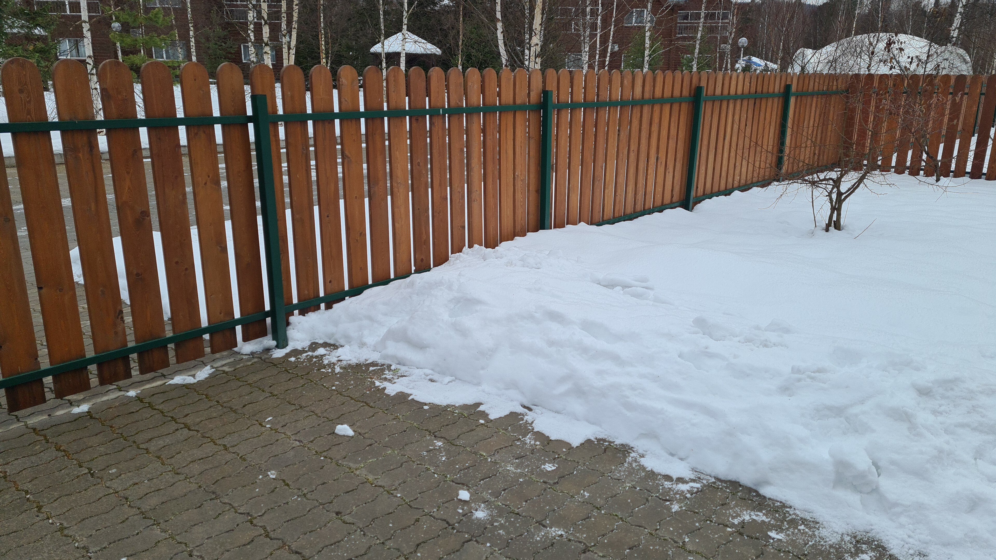 Фото Озерки