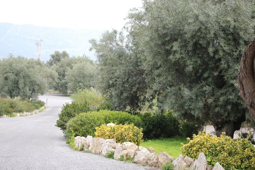 Фото Zaiera Resort Club