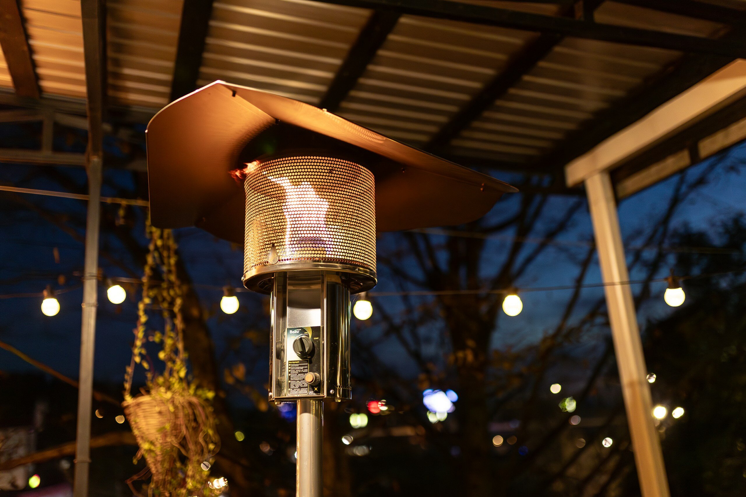 Фото Современник