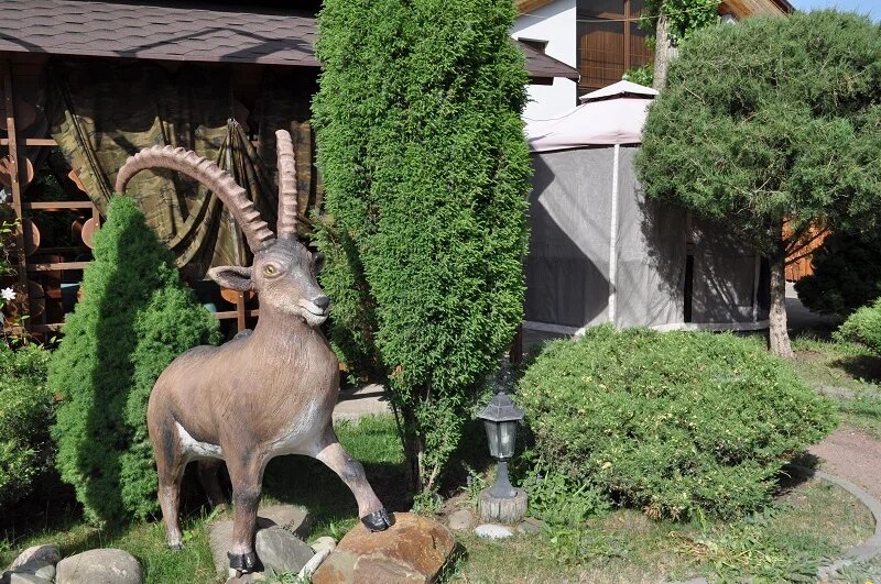 Фото Охотничий клуб