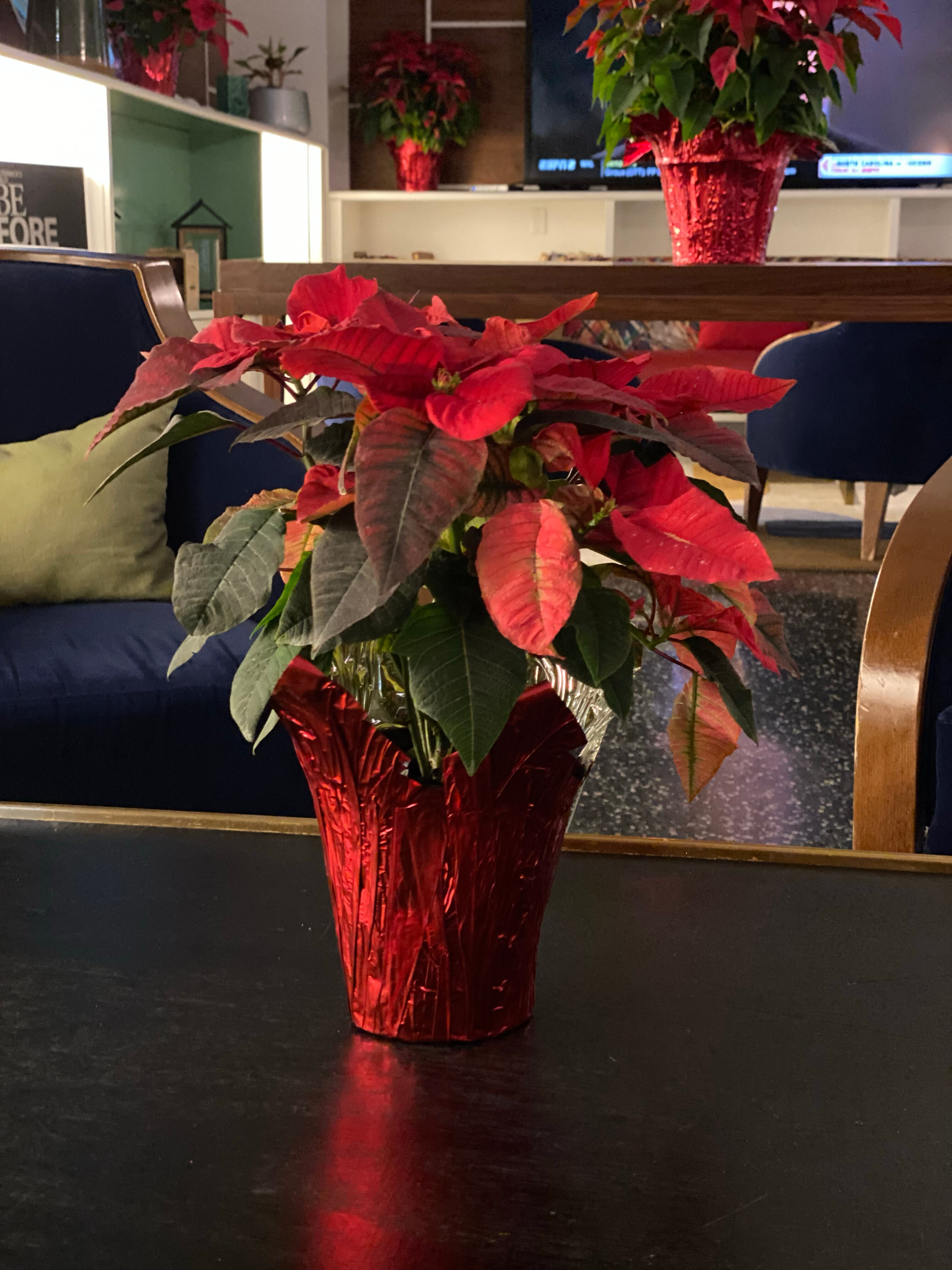 Фото Royal Palm South Beach Miami, a Tribute Portfolio Resort