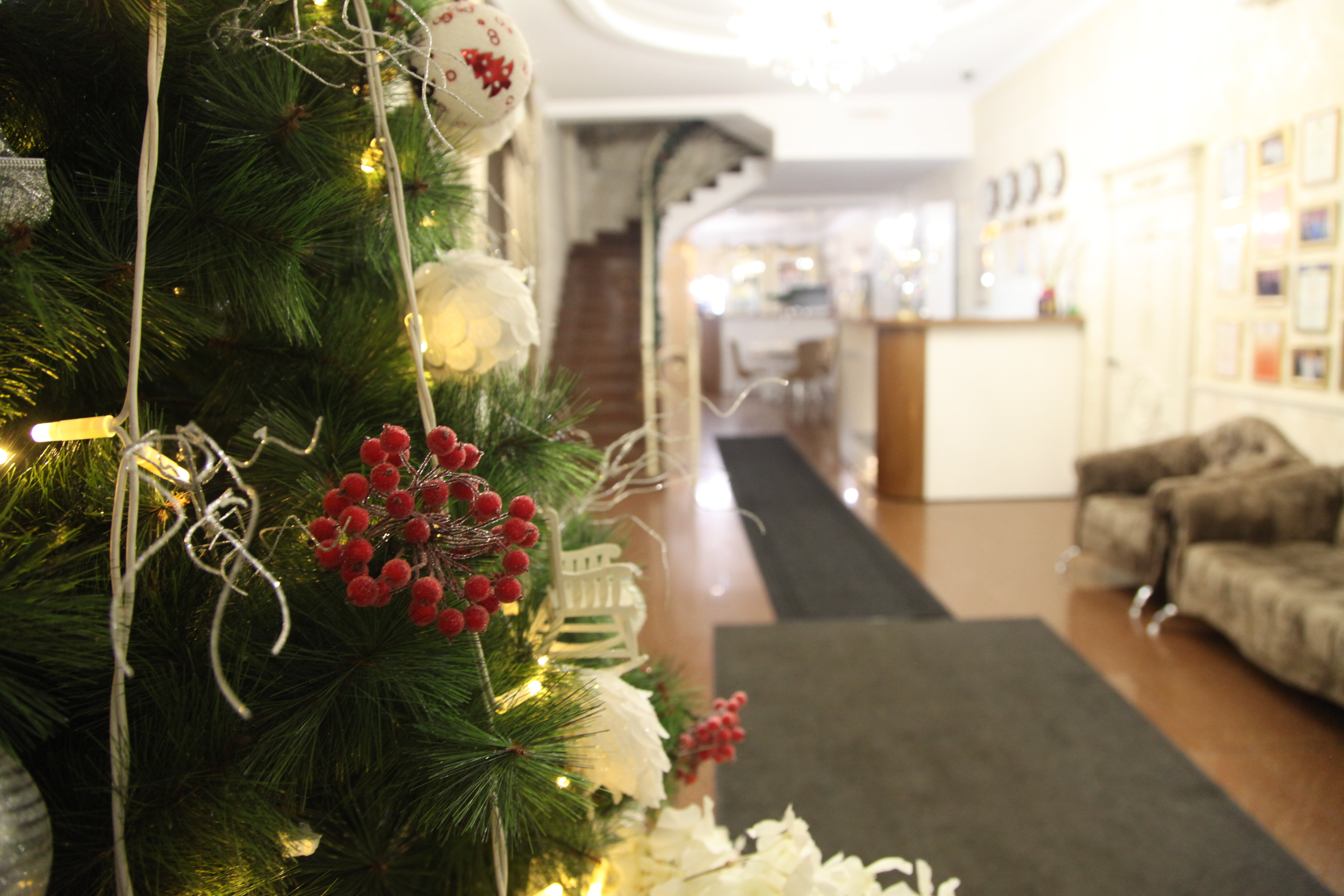 Фото Анжелика