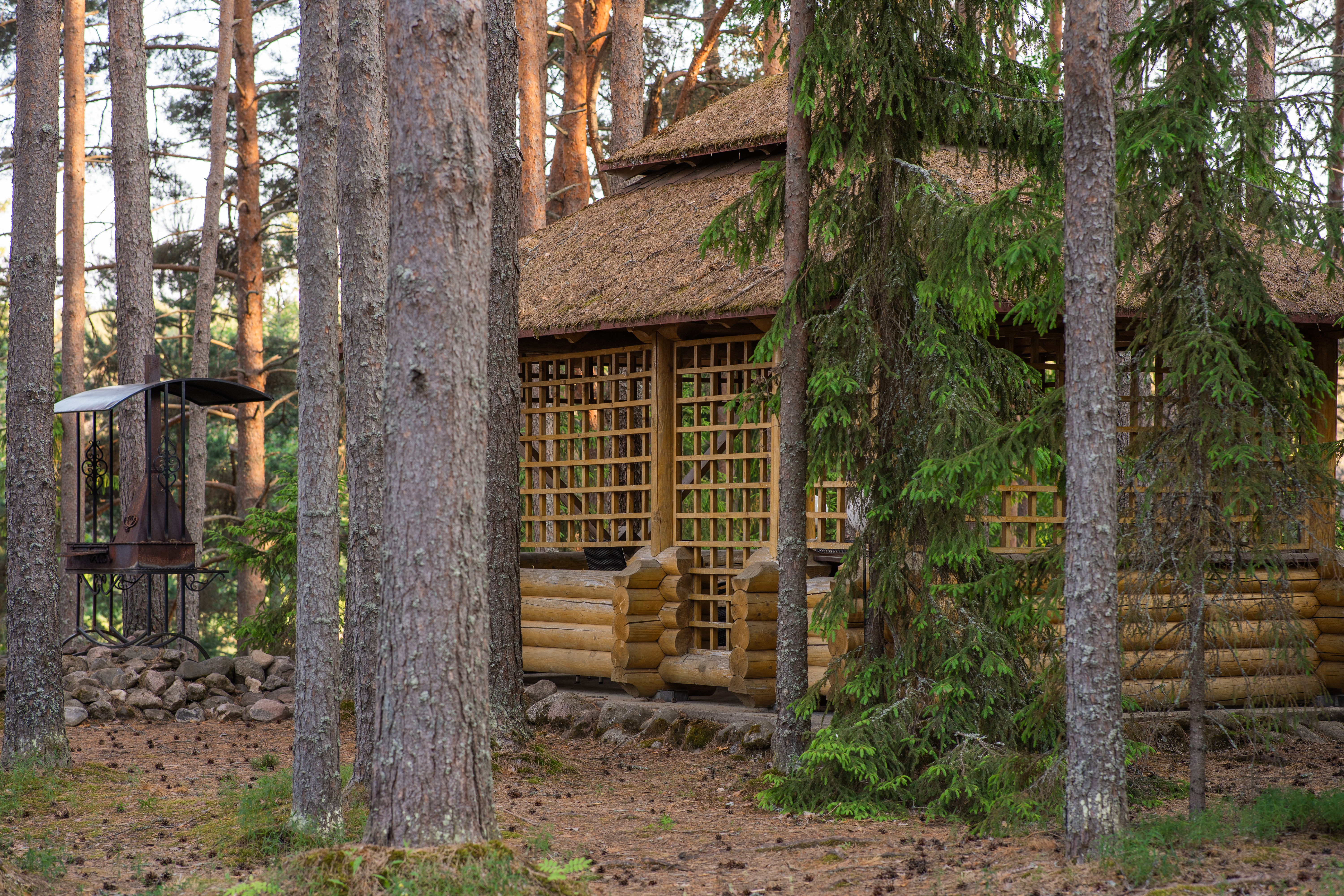 Фото Хижина