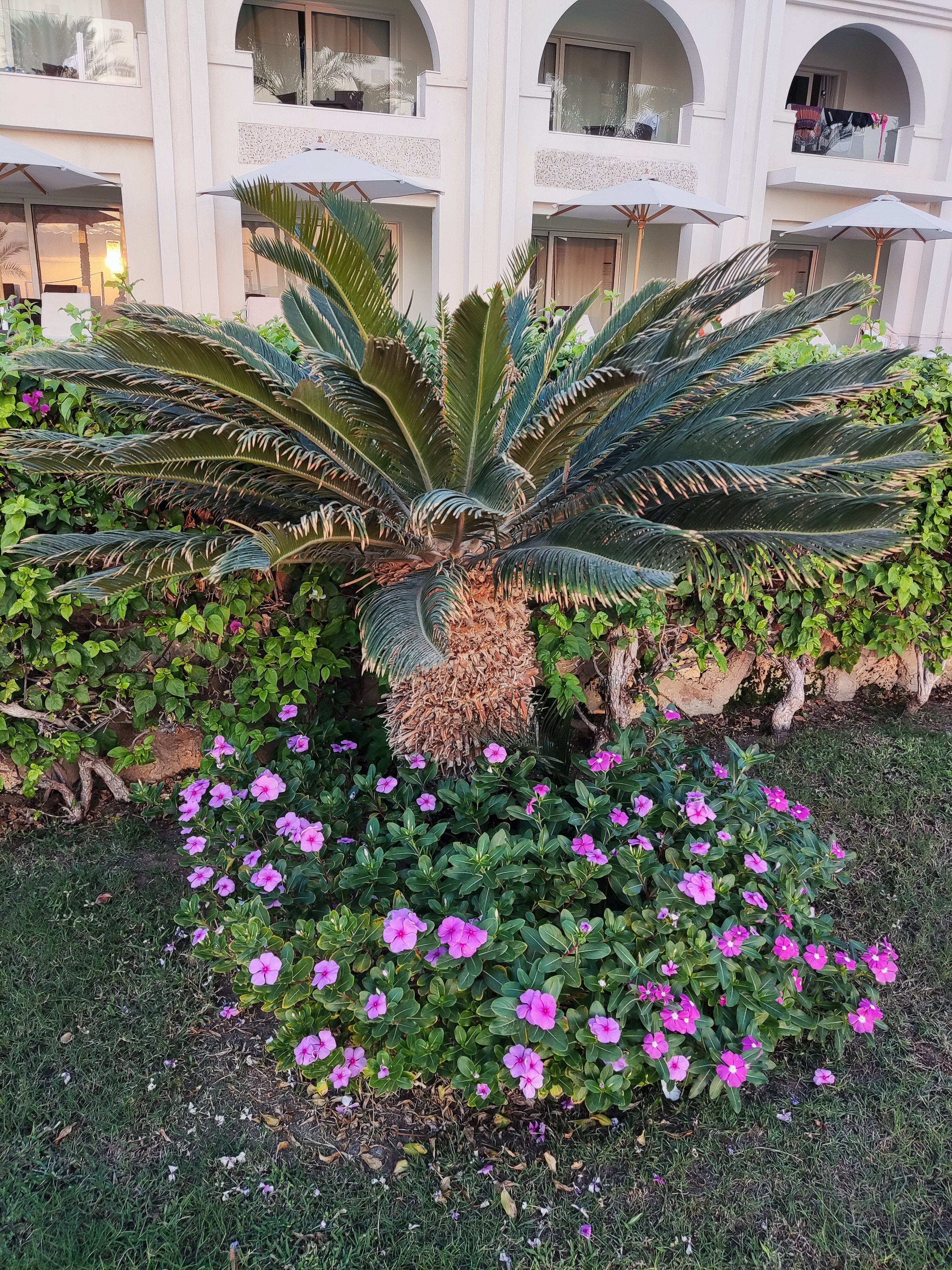 Фото Sunrise Montemare Resort Grand Select