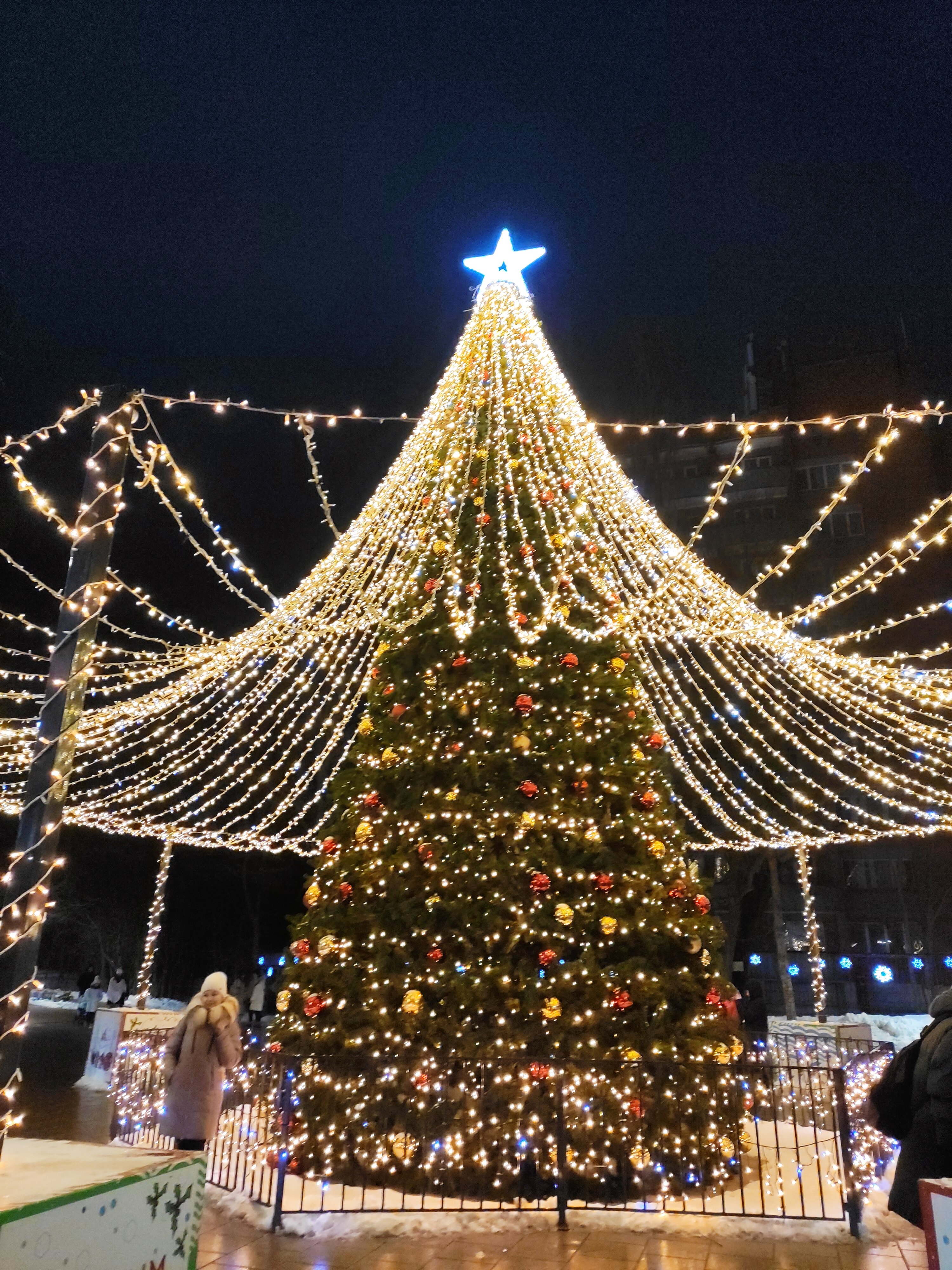 Фото Элиза ИНН