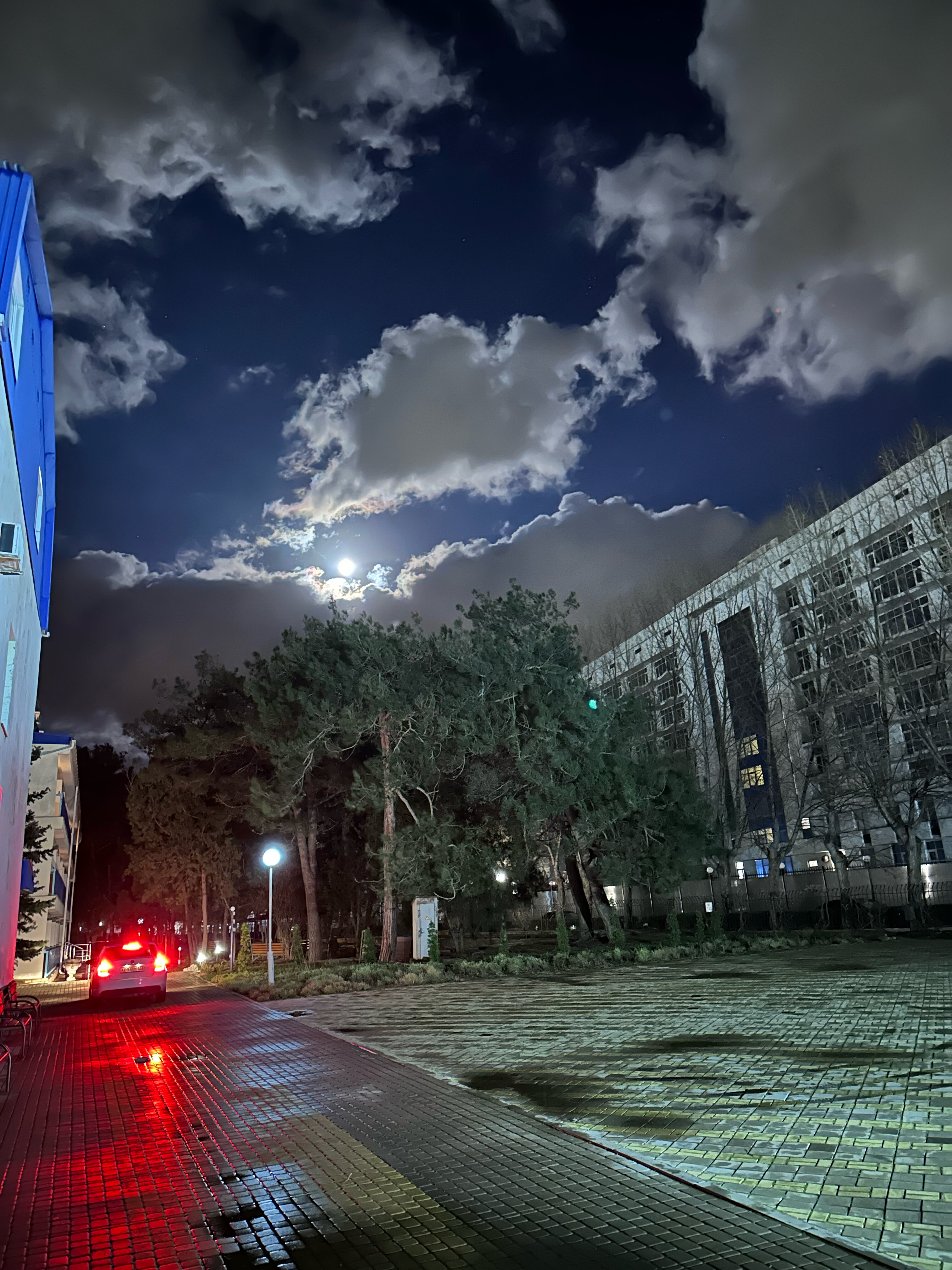 Фото Родник