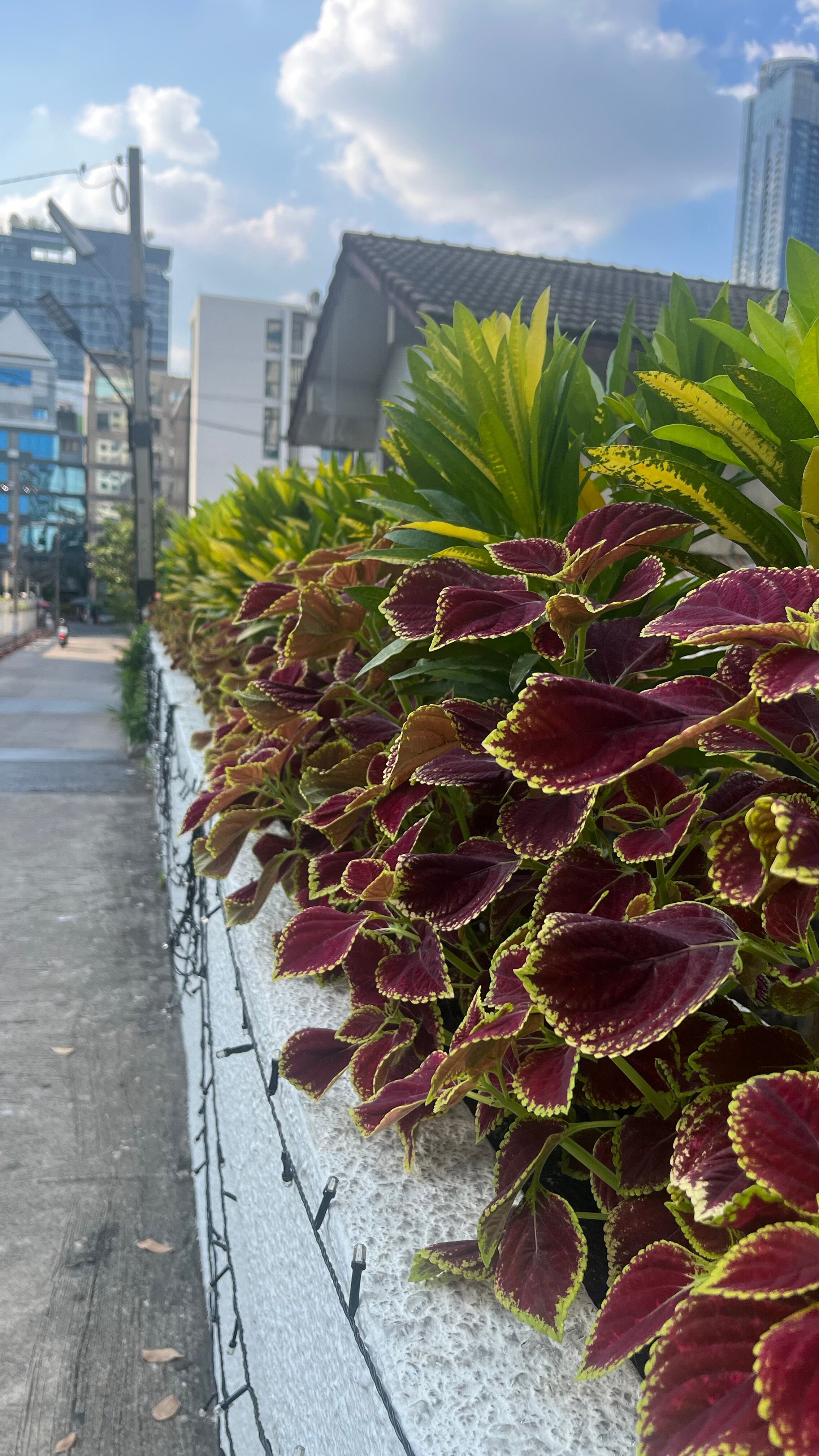 Фото Golden Tulip Sovereign Hotel