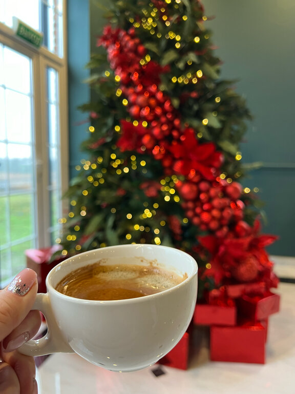 Фото Заречный SGH