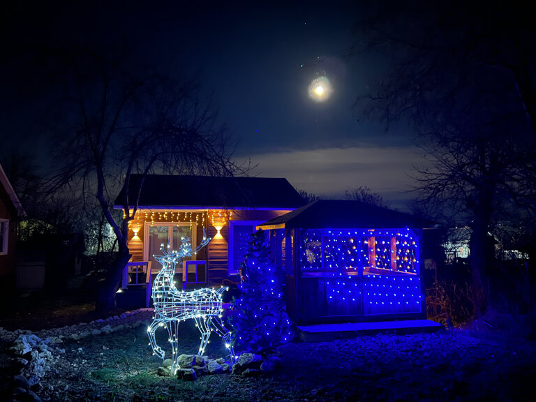 Фото Палитра