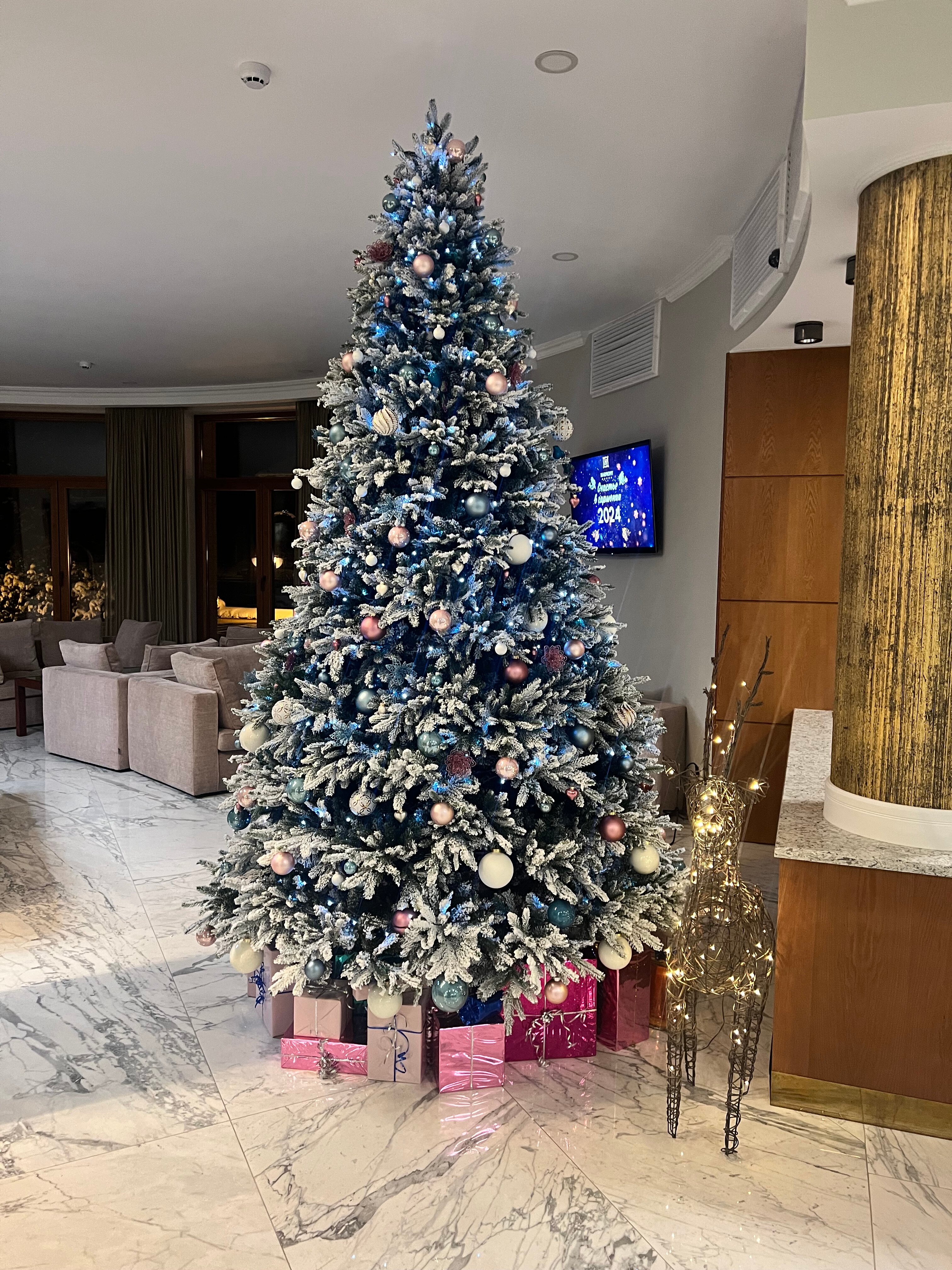 Фото Гармония