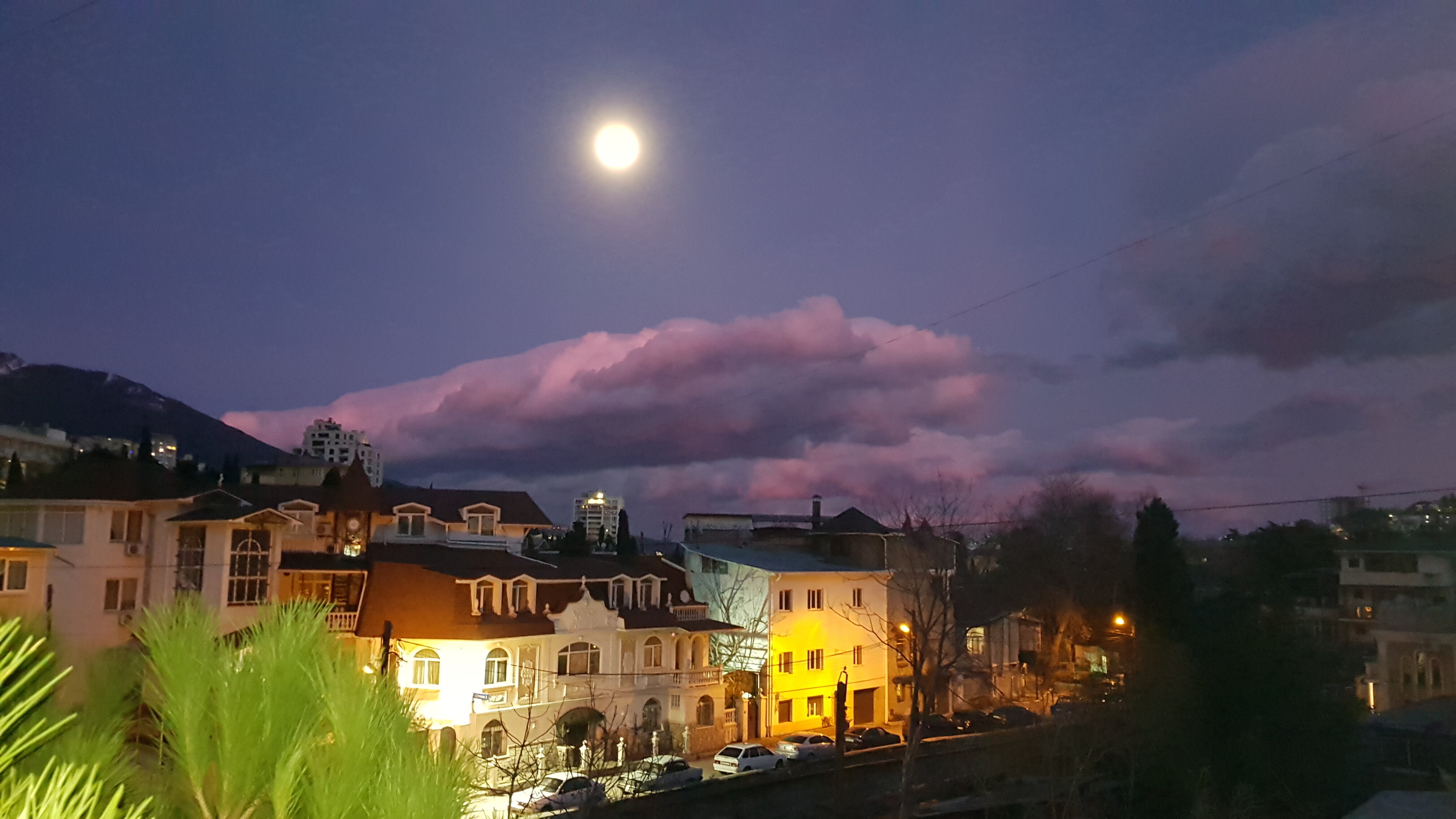 Фото Каштановый особняк