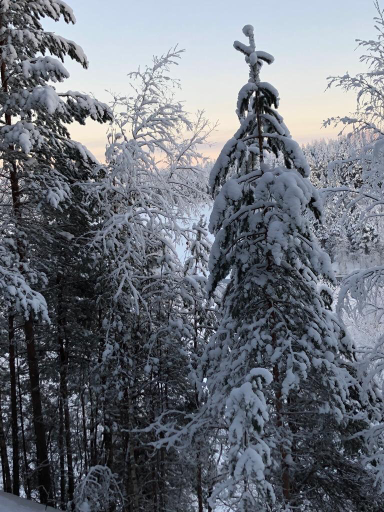 Фото Хутор Марья