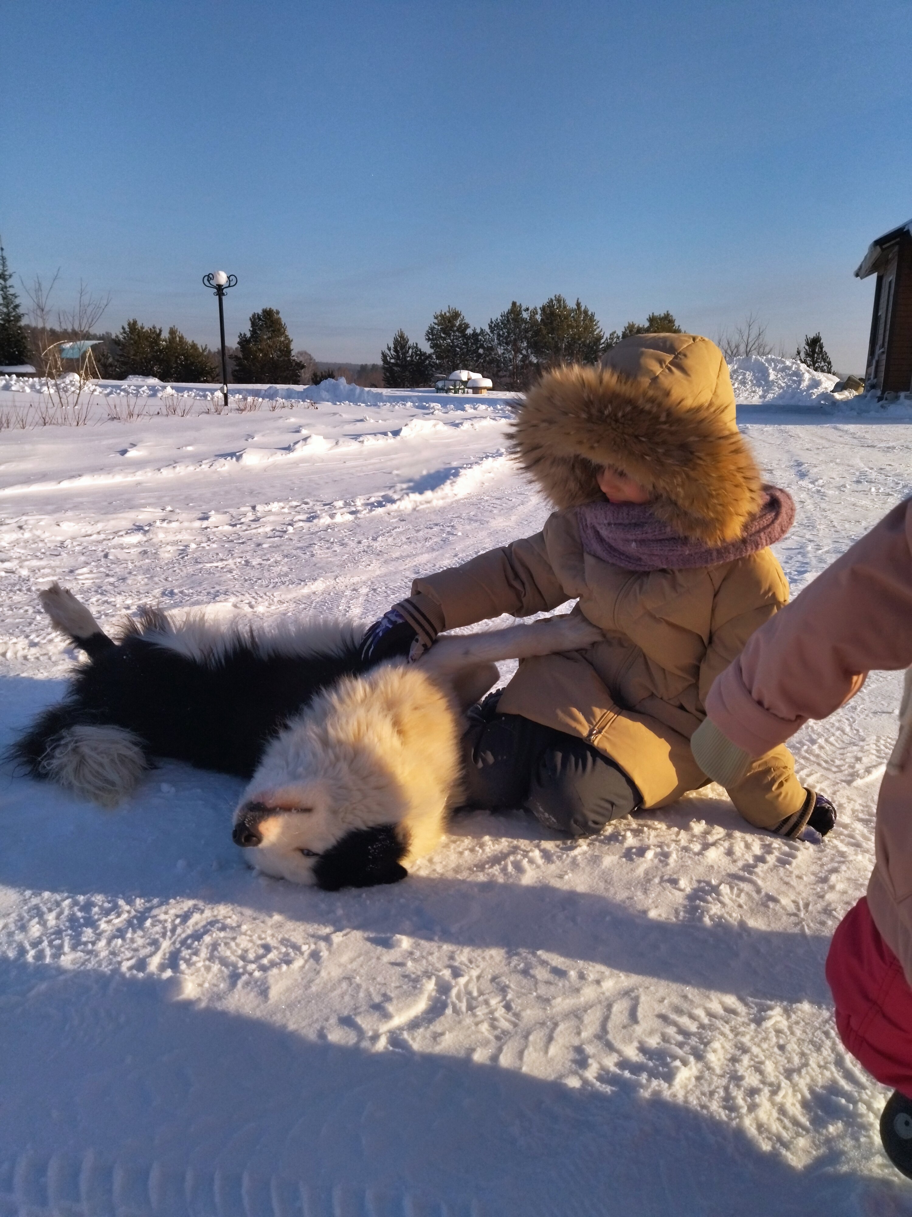 Фото Хуторок