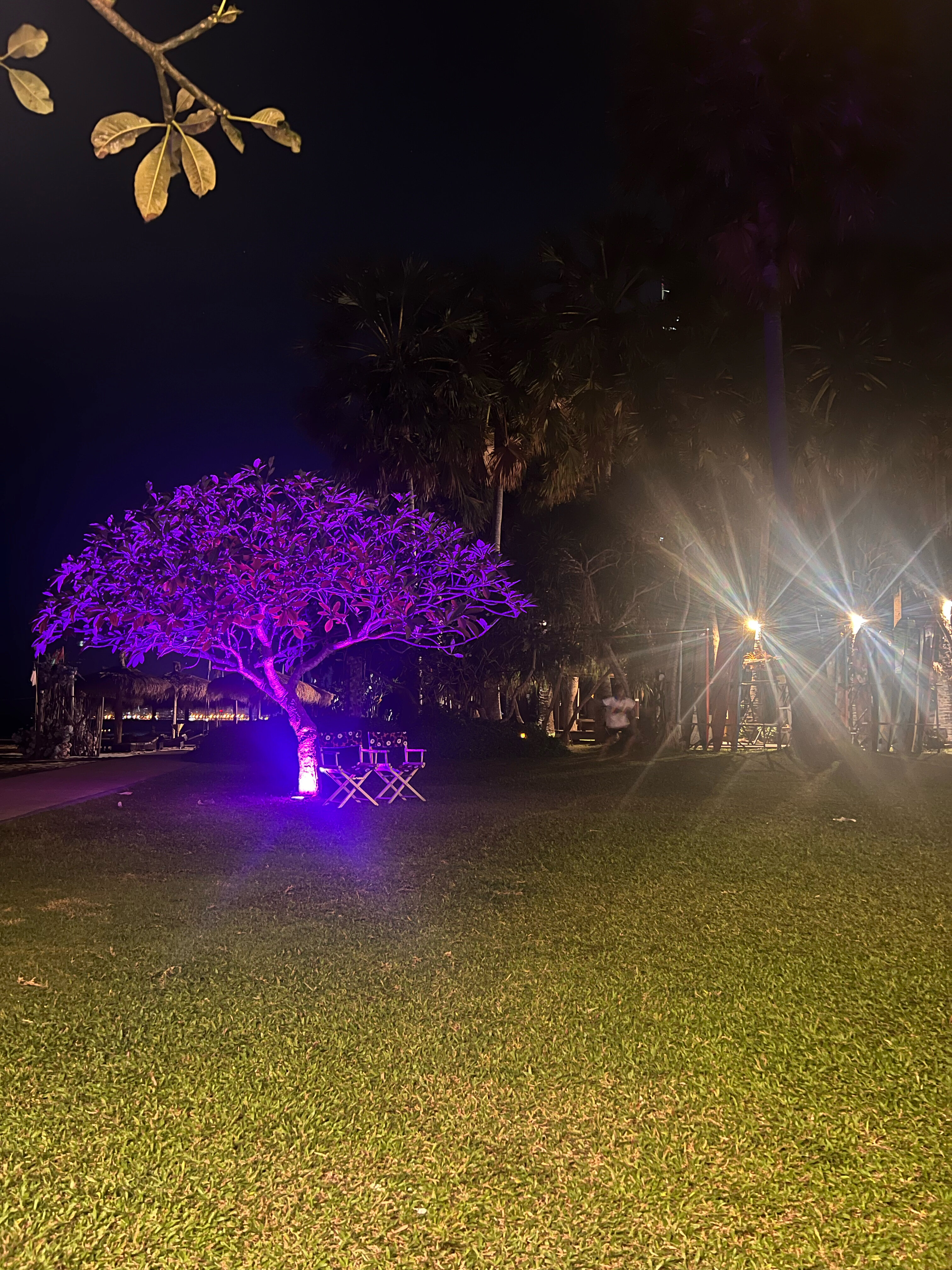 Фото Botany Beach Resort