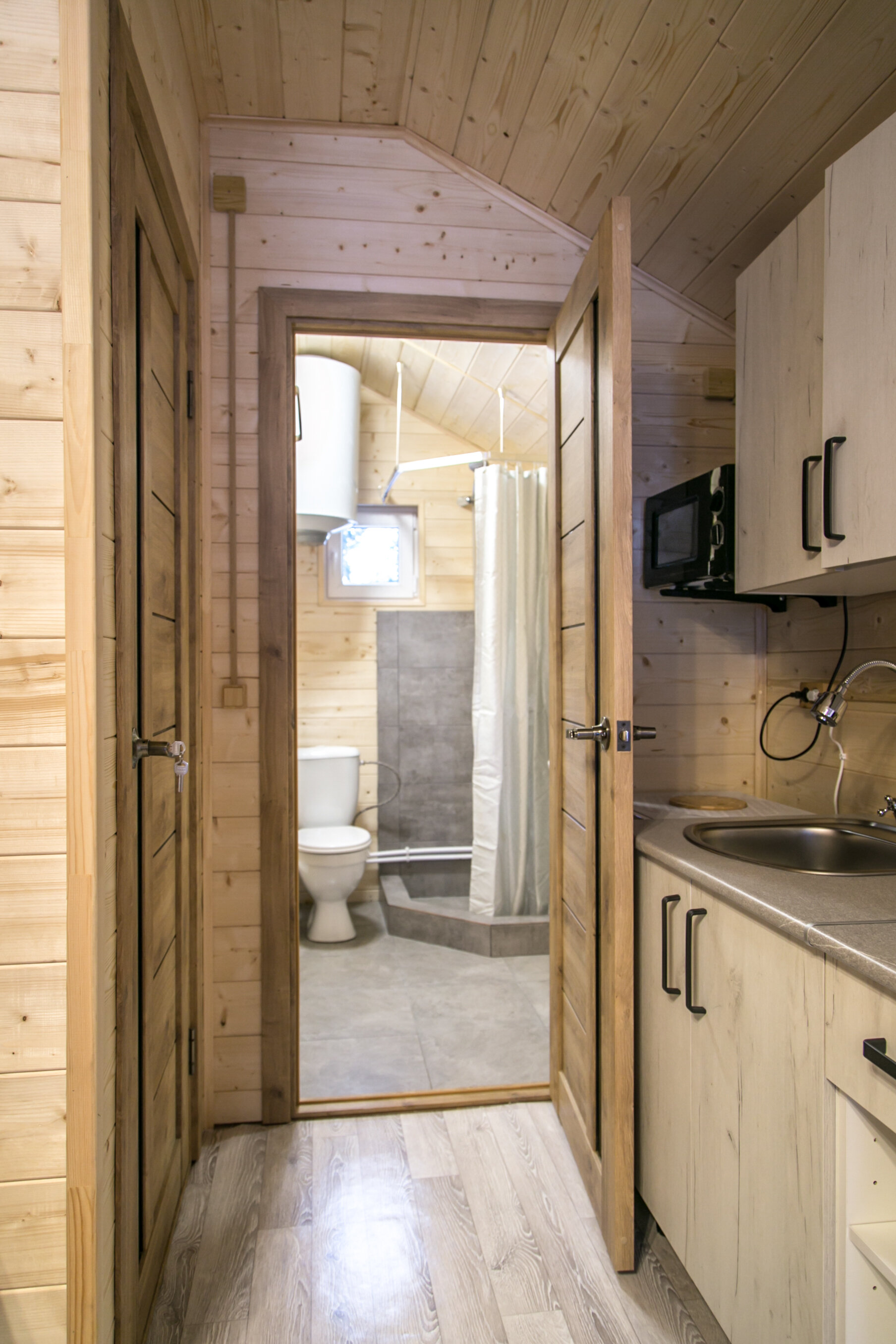 Фото Дикая Лошадь