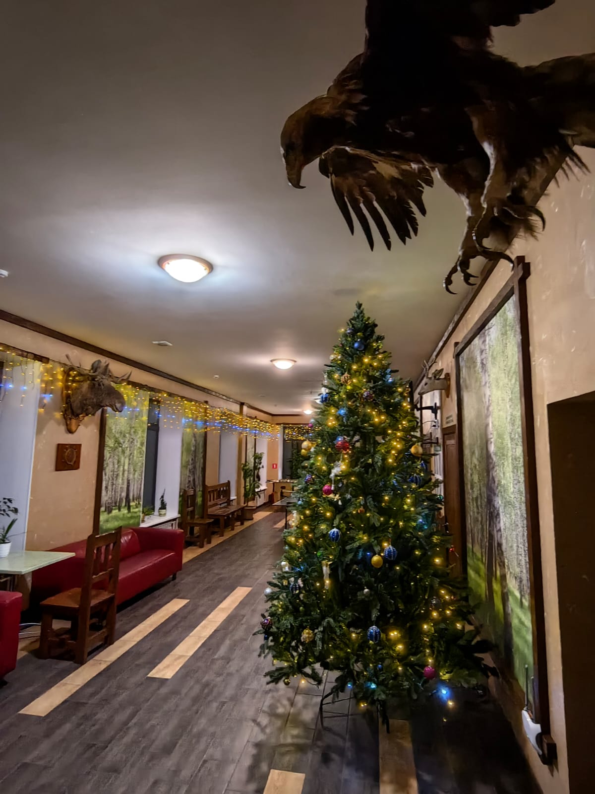 Фото УткульРФ