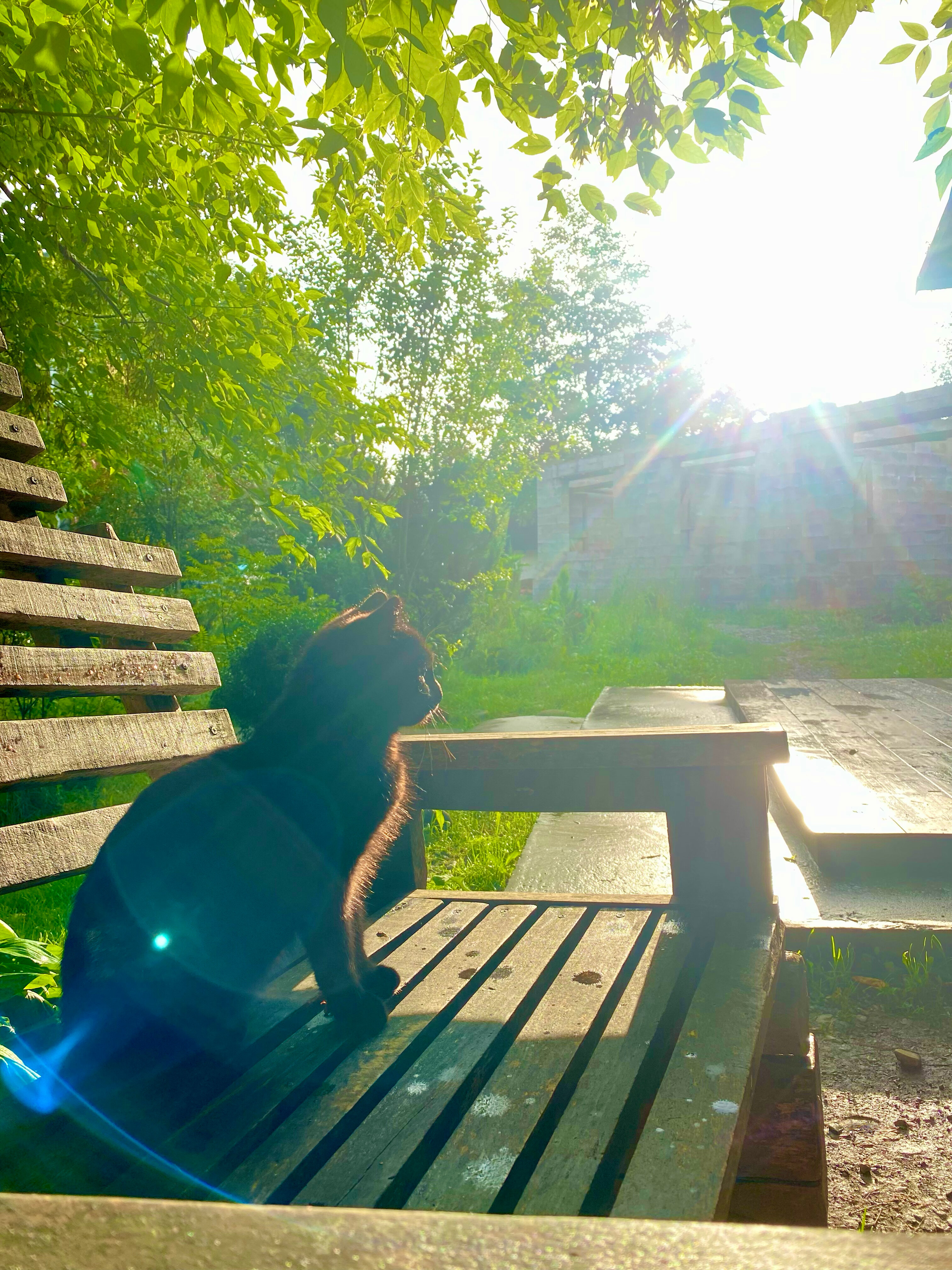 Фото Усадьба Заповедная