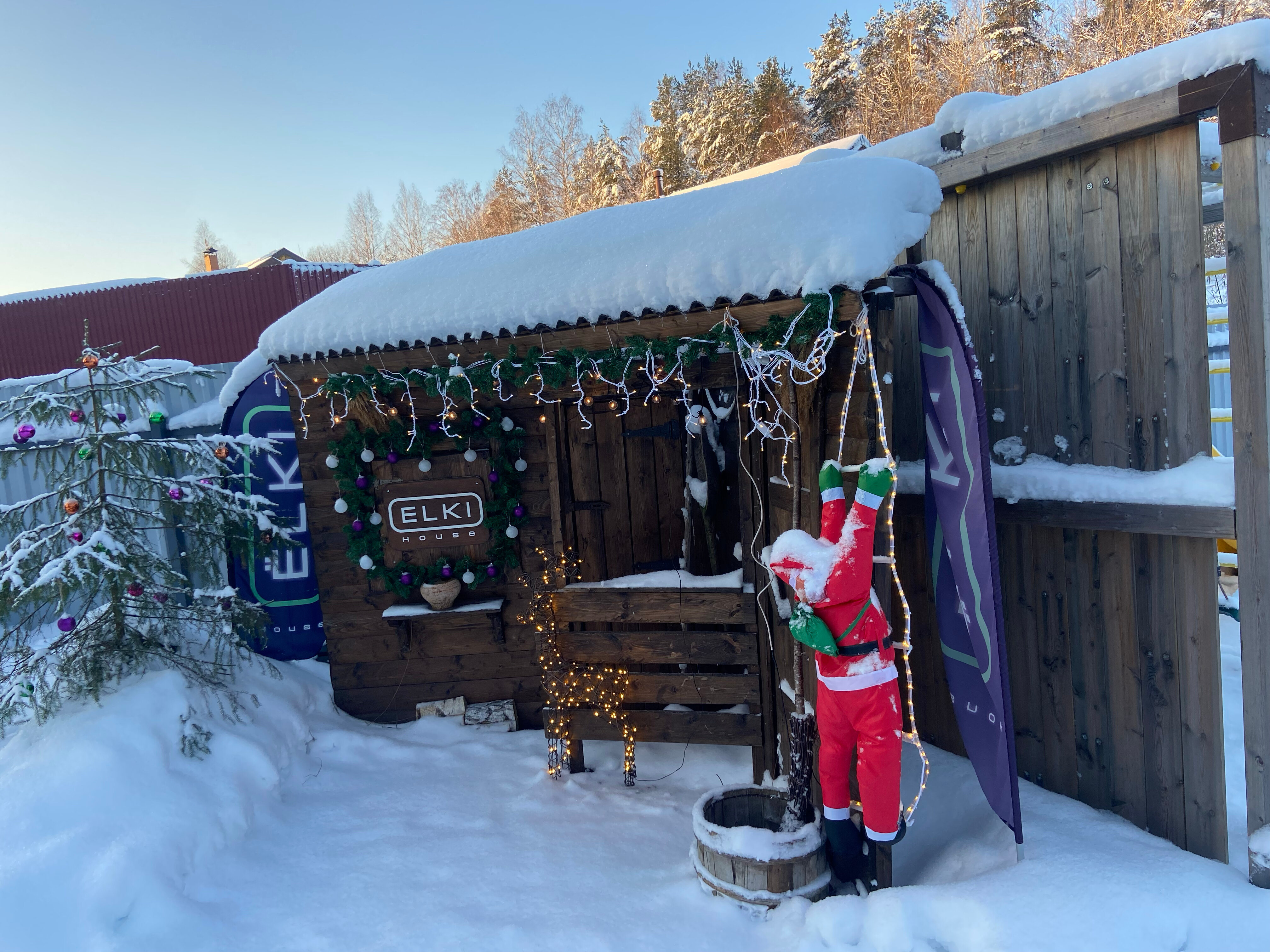 Фото Ёlki в Правдинское озеро