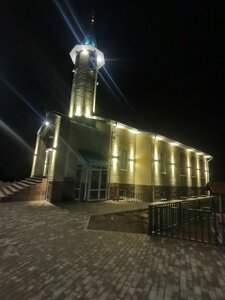 Мечеть (Republic of Tatarstan, Pestrechinskiy rayon, Shigaleyevskoye selskoye poseleniye, selo Novoye Shigaleyevo) ، مسجد