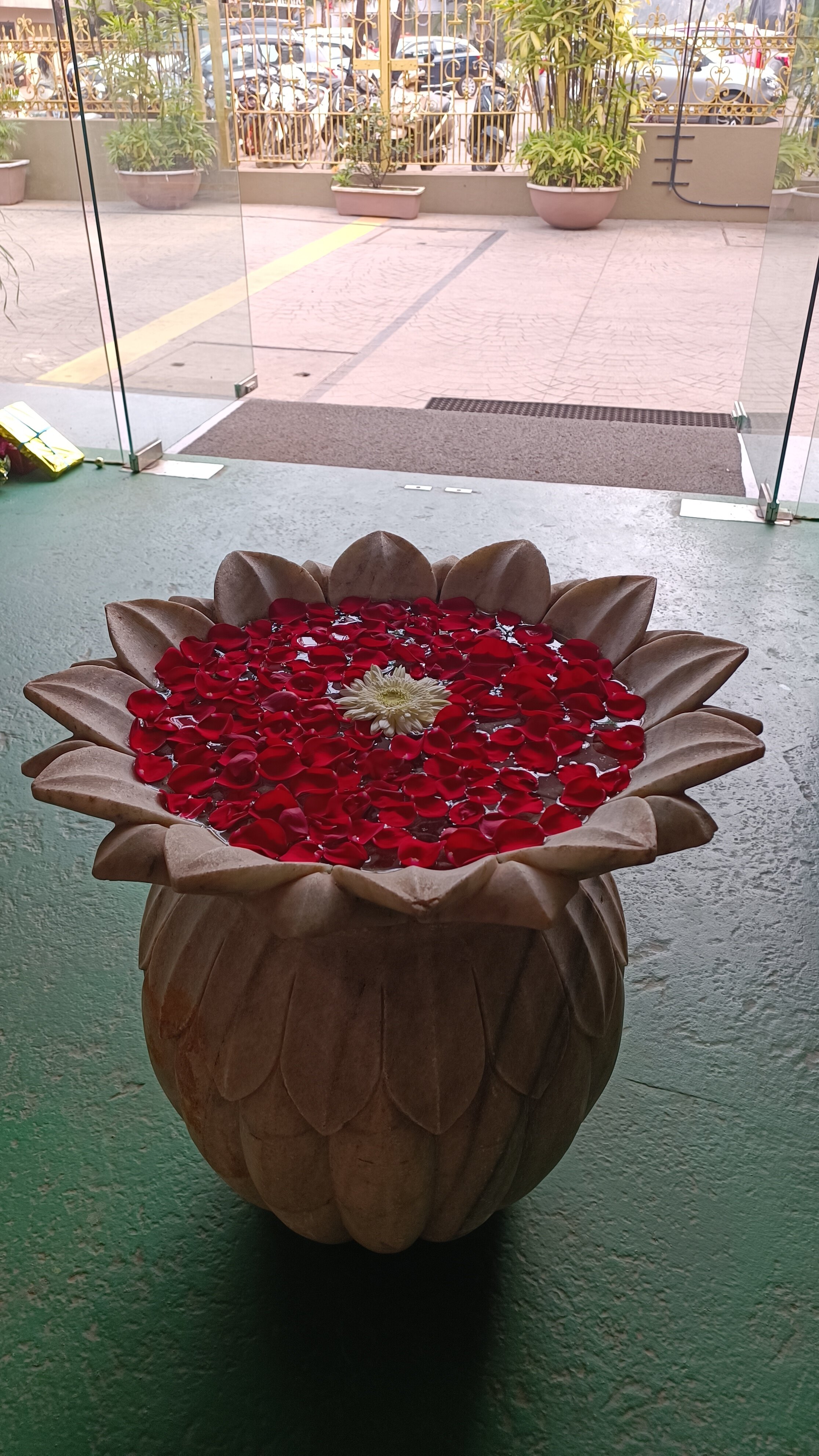 Фото Club Mahindra Acacia Palms