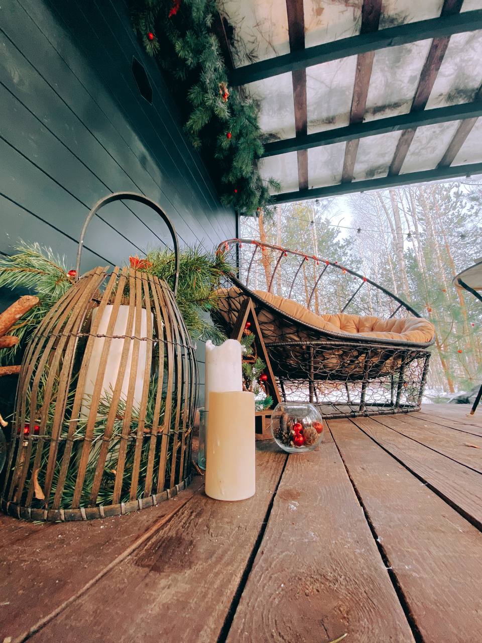 Фото TinyDacha можжевельник