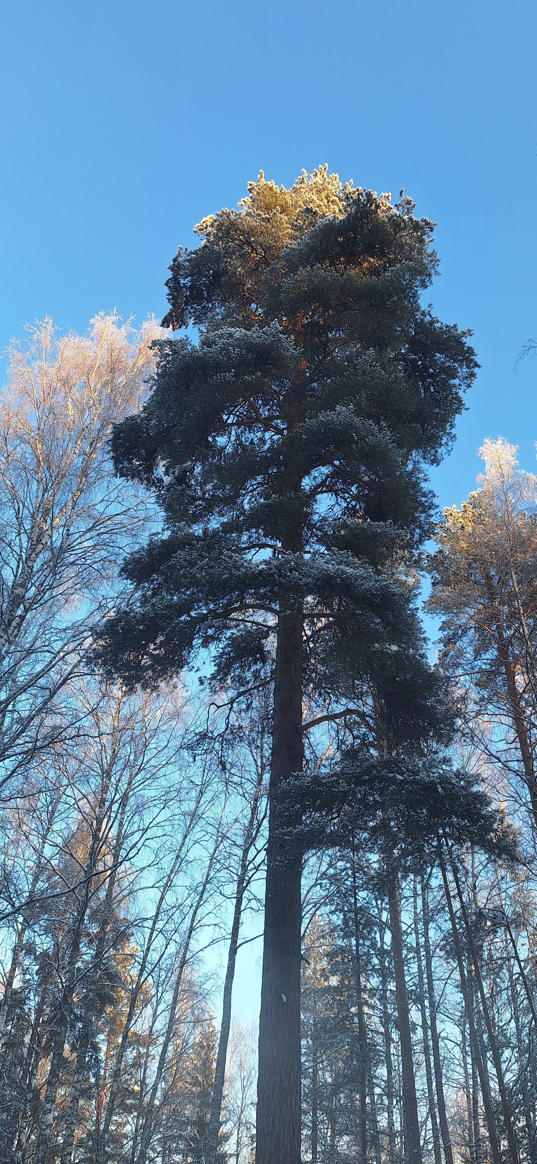 Фото Урозеро