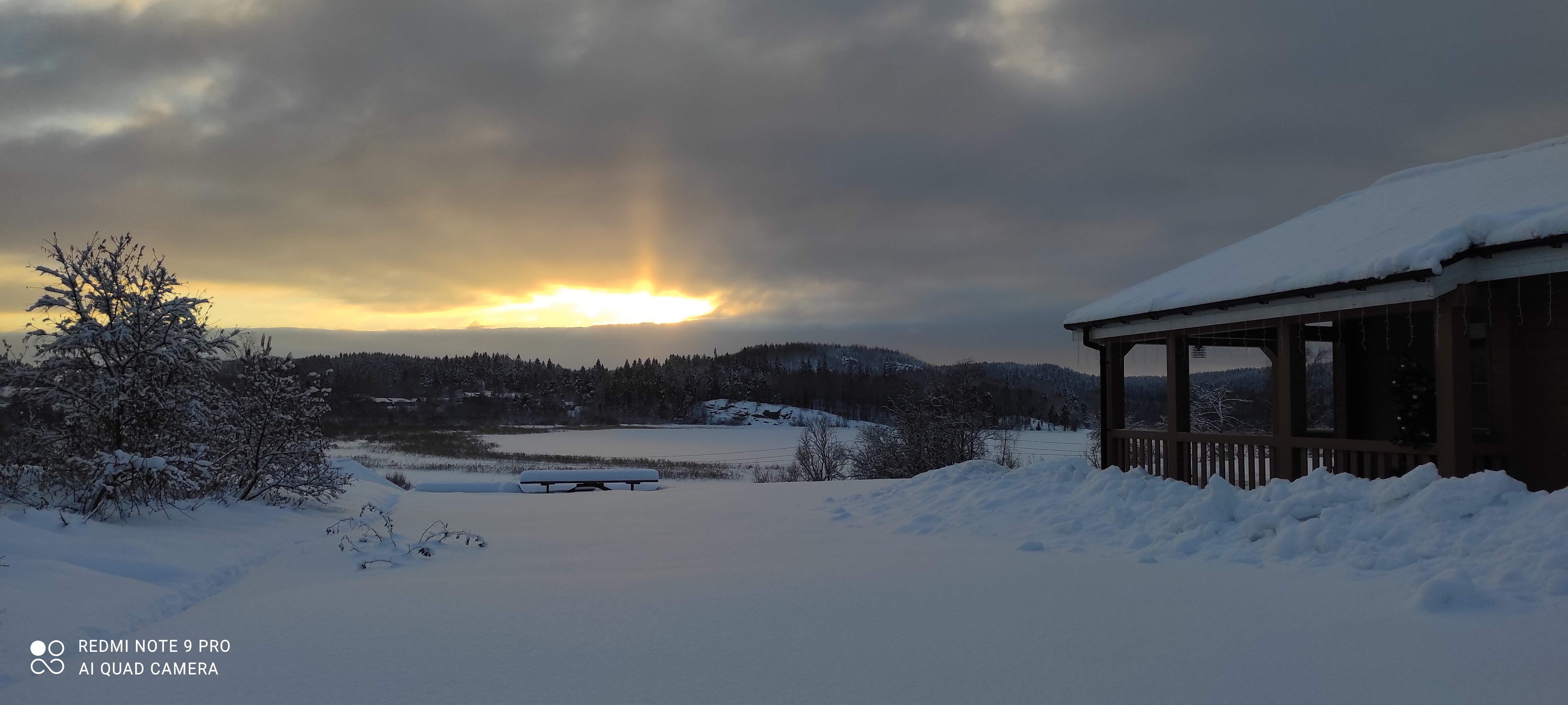 Фото Семейный