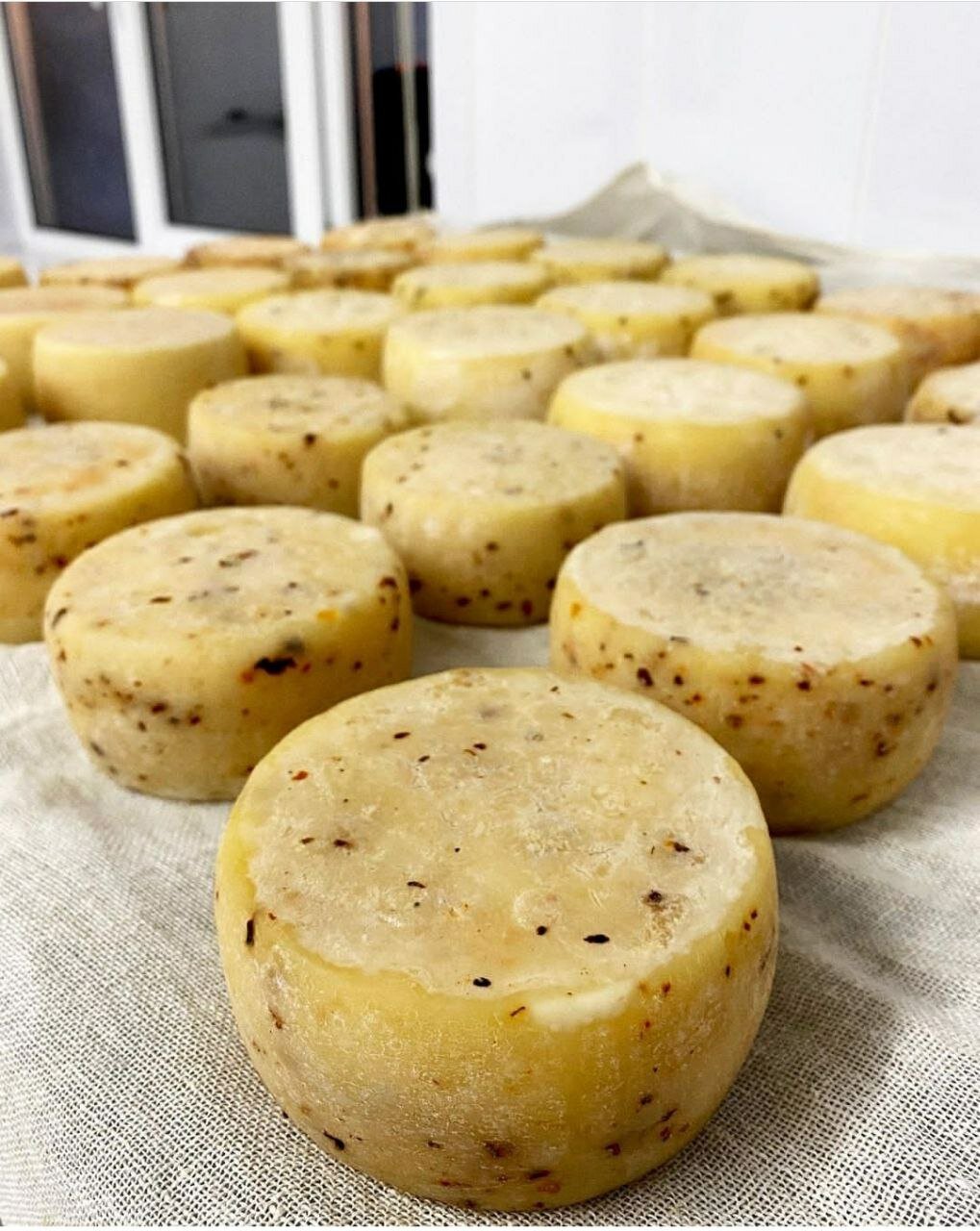 Фото Tasin-Bor Farm