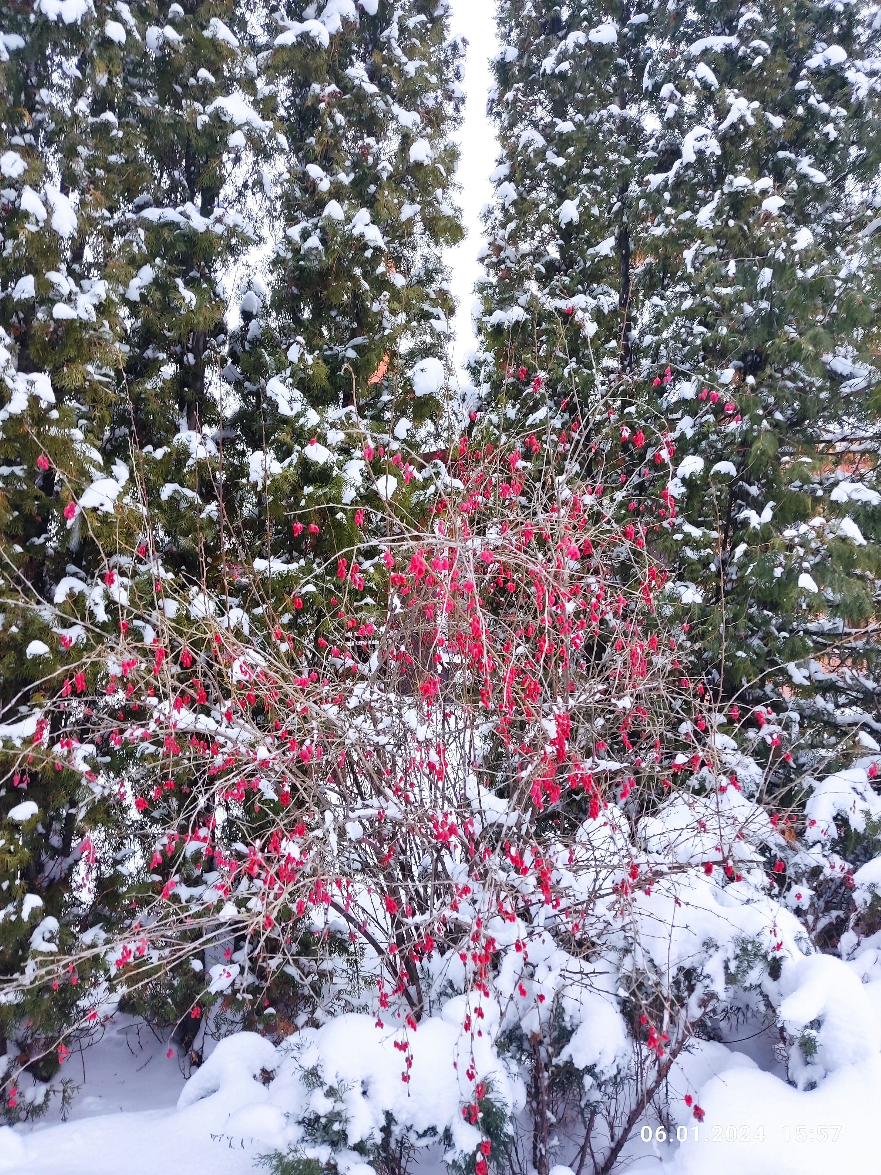 Фото Славянская деревня