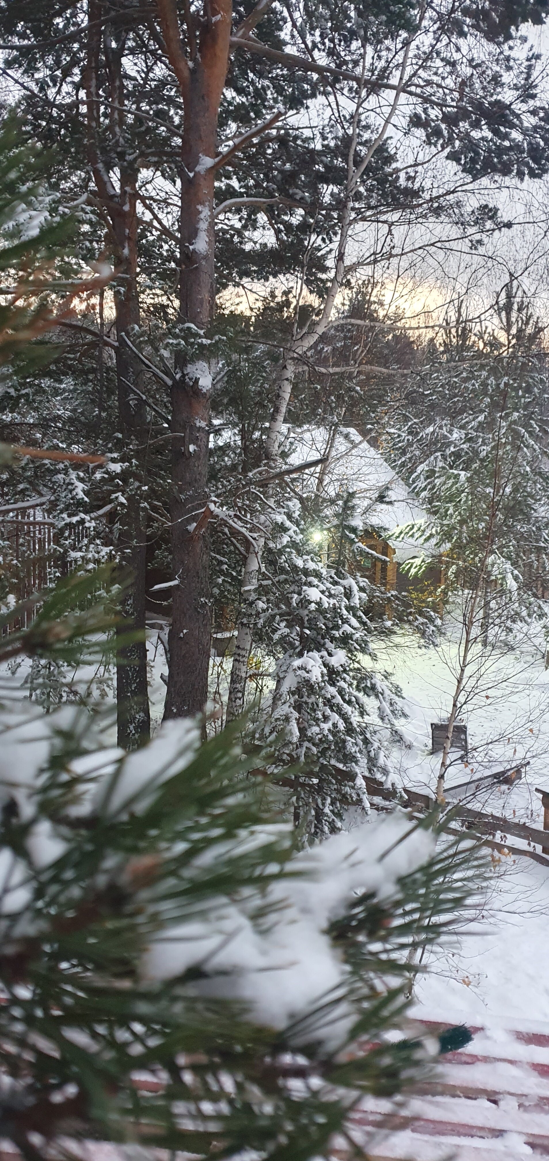 Фото Территория отдыха География