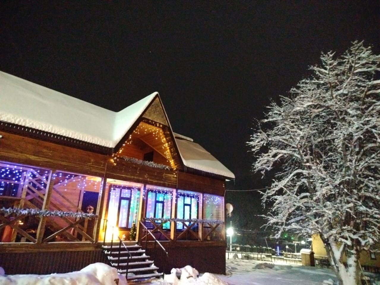 Фото Дикая груша