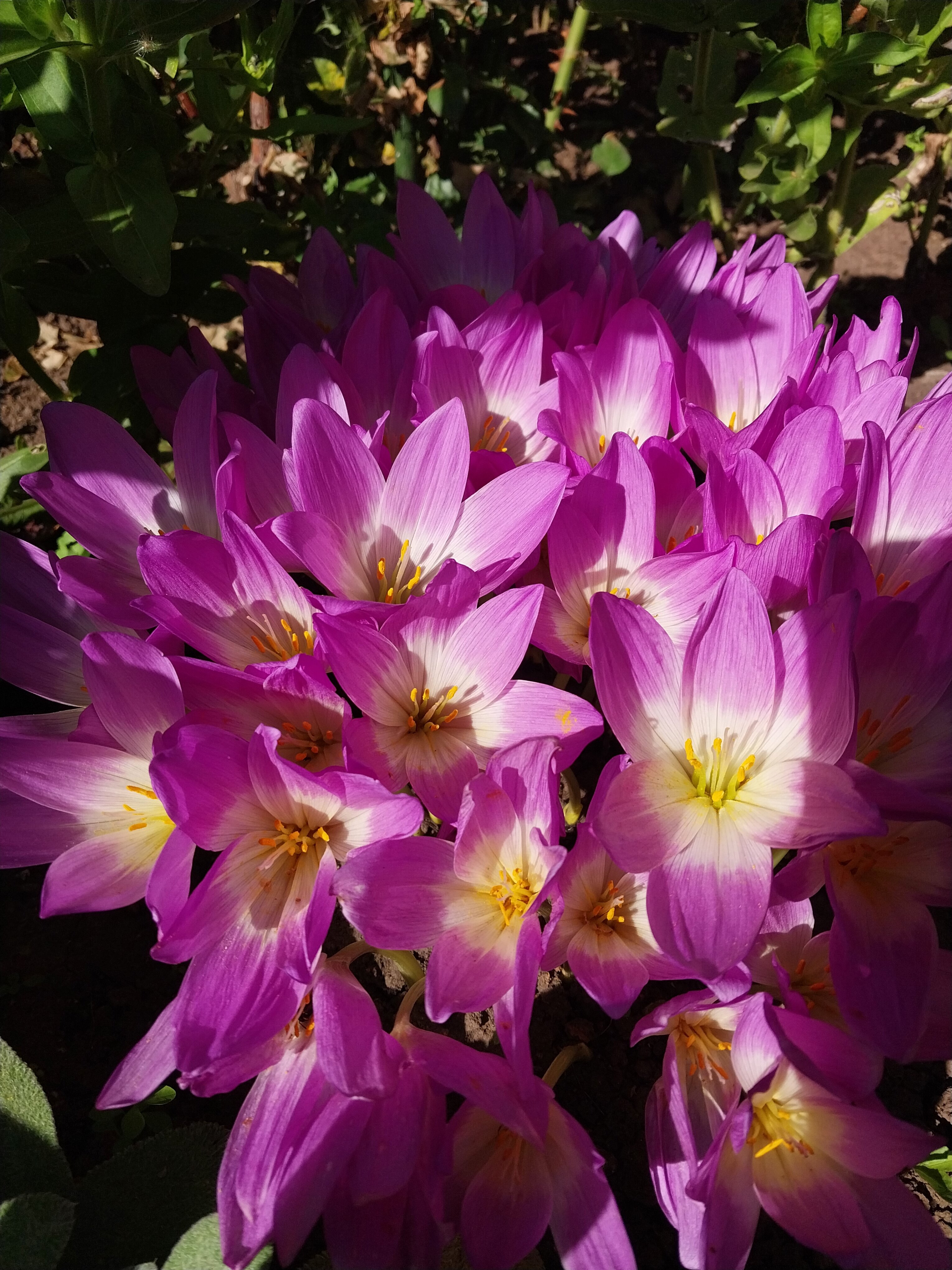 Фото Суздальское подворье с русской баней