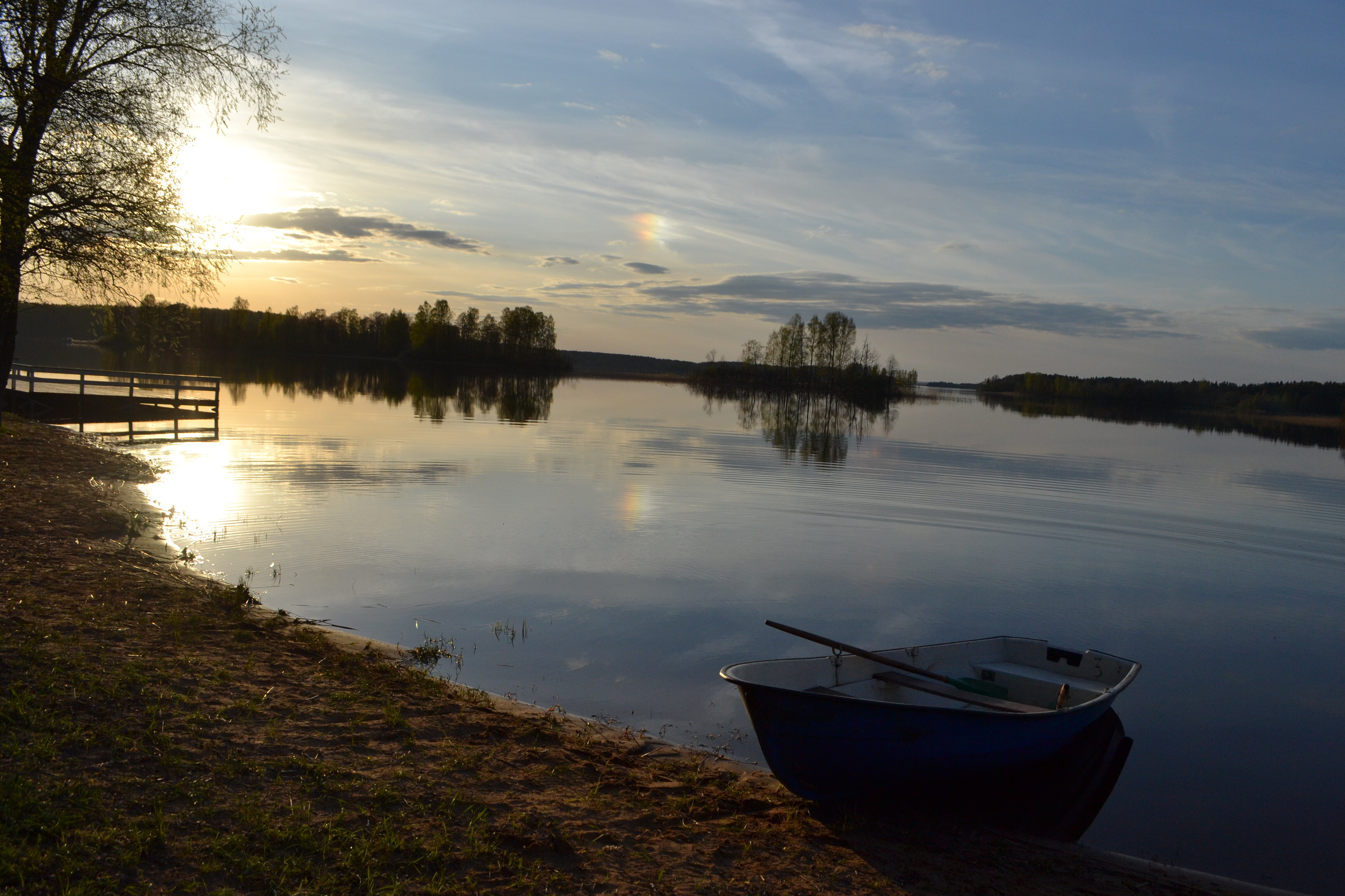 Фото Новый ковчег