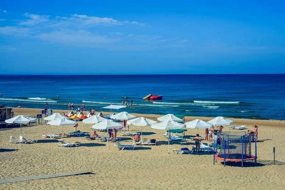 Фото Магнолия 2