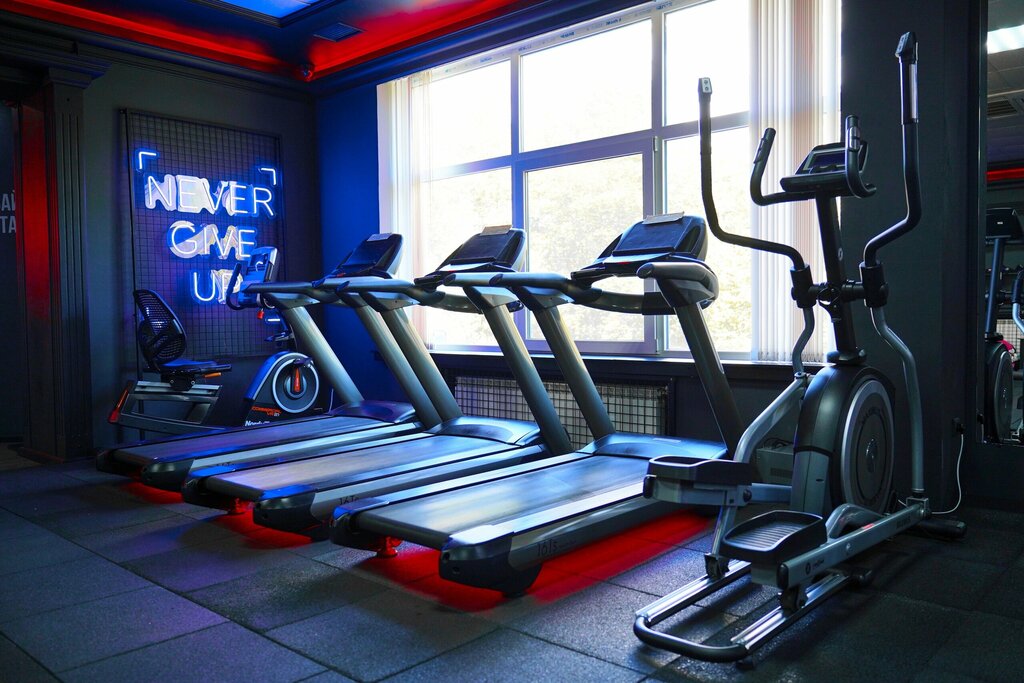 Sports hall, gym IronMan, Simferopol, photo