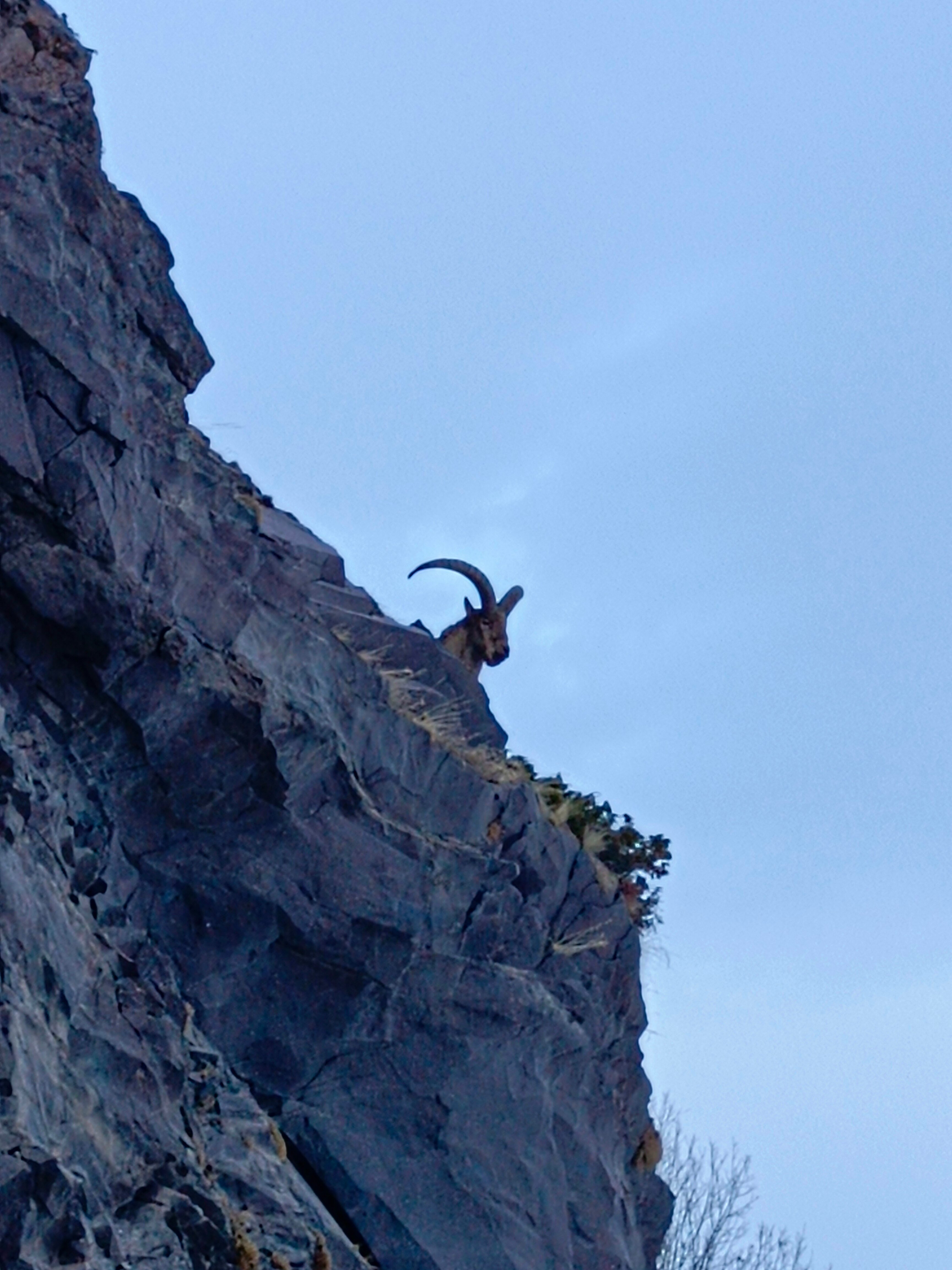 Фото Вершина