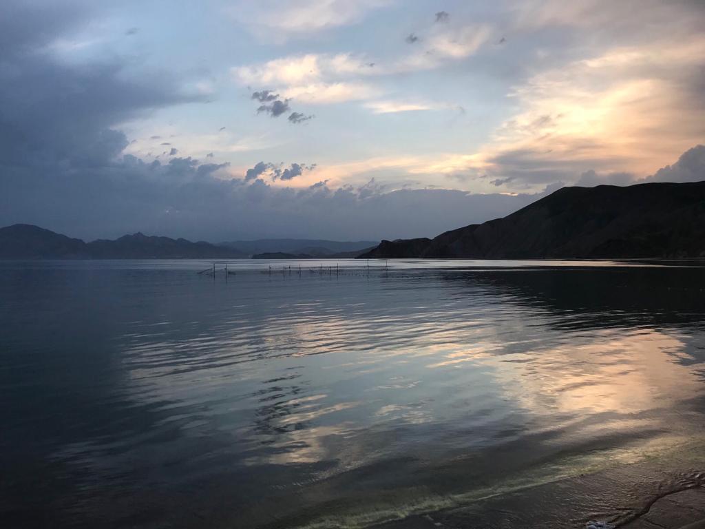 Фото Магнолия