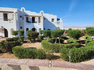 Halomy Naama-Bay Hotel (Шарм-эш-Шейх (Шарм-эль-Шейх), Naama Bay, 45214 Sharm El Sheikh), гостиница в Шарм‑эль‑Шейхе