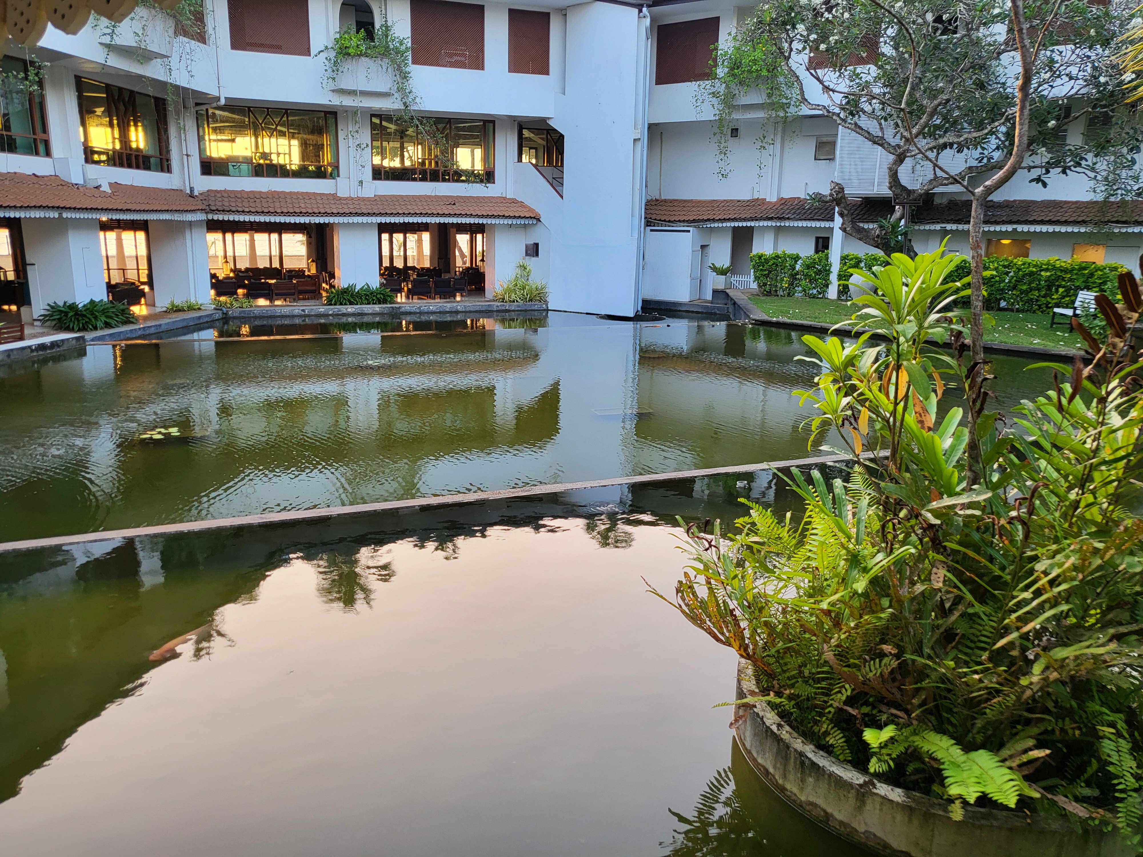 Фото Tangerine Beach Hotel