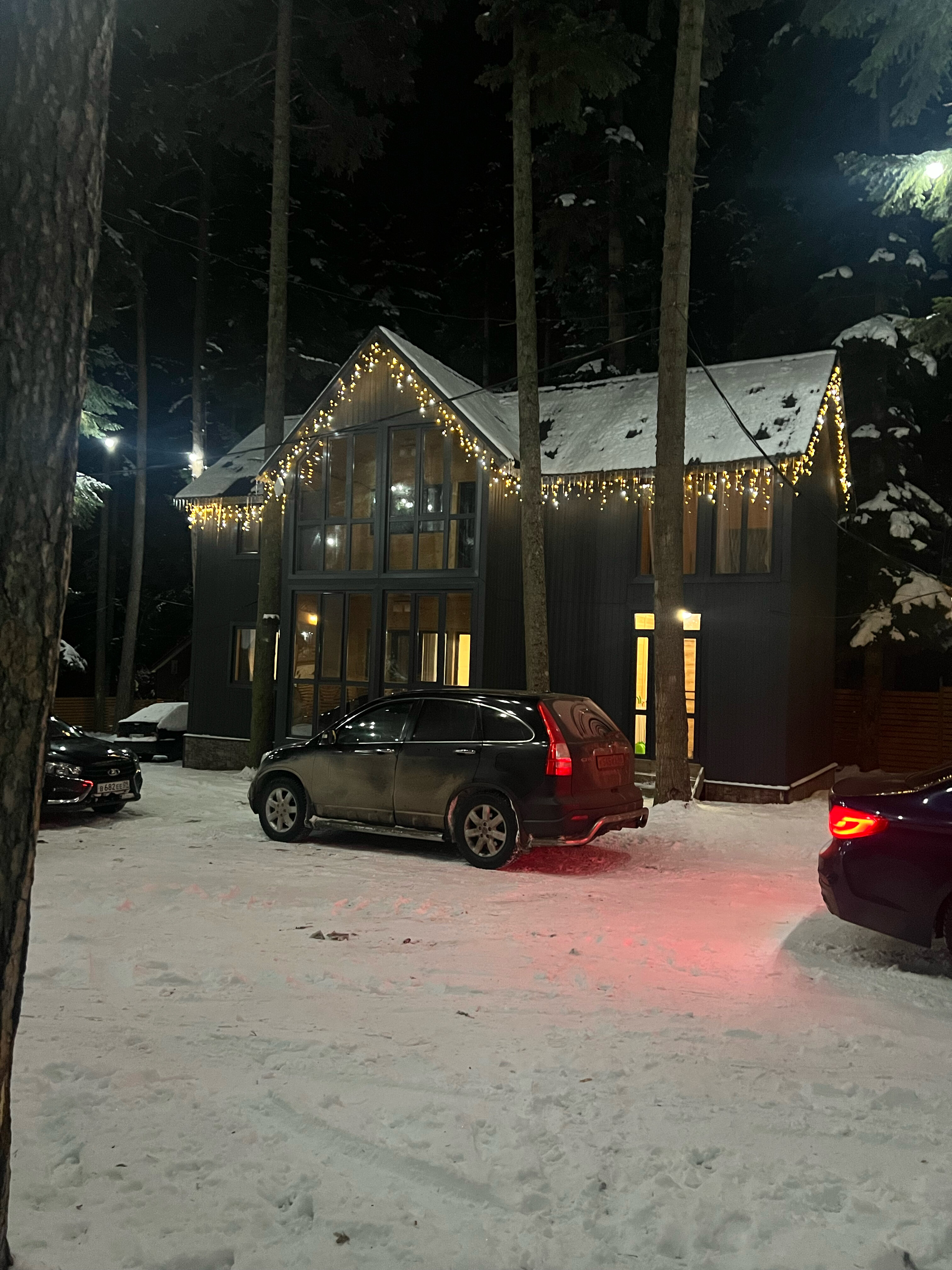 Фото Пихтовый парк