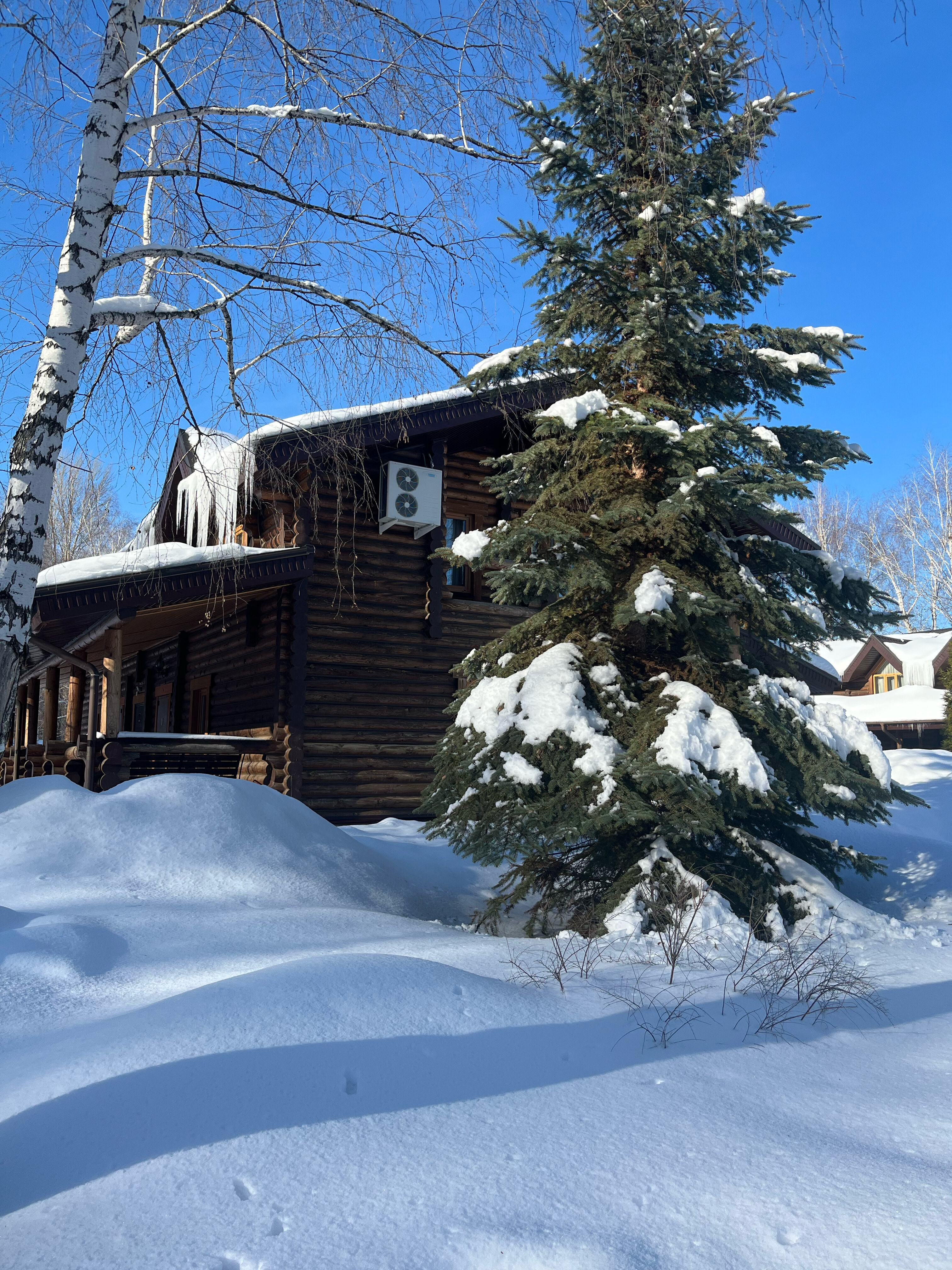 Фото Васильевский