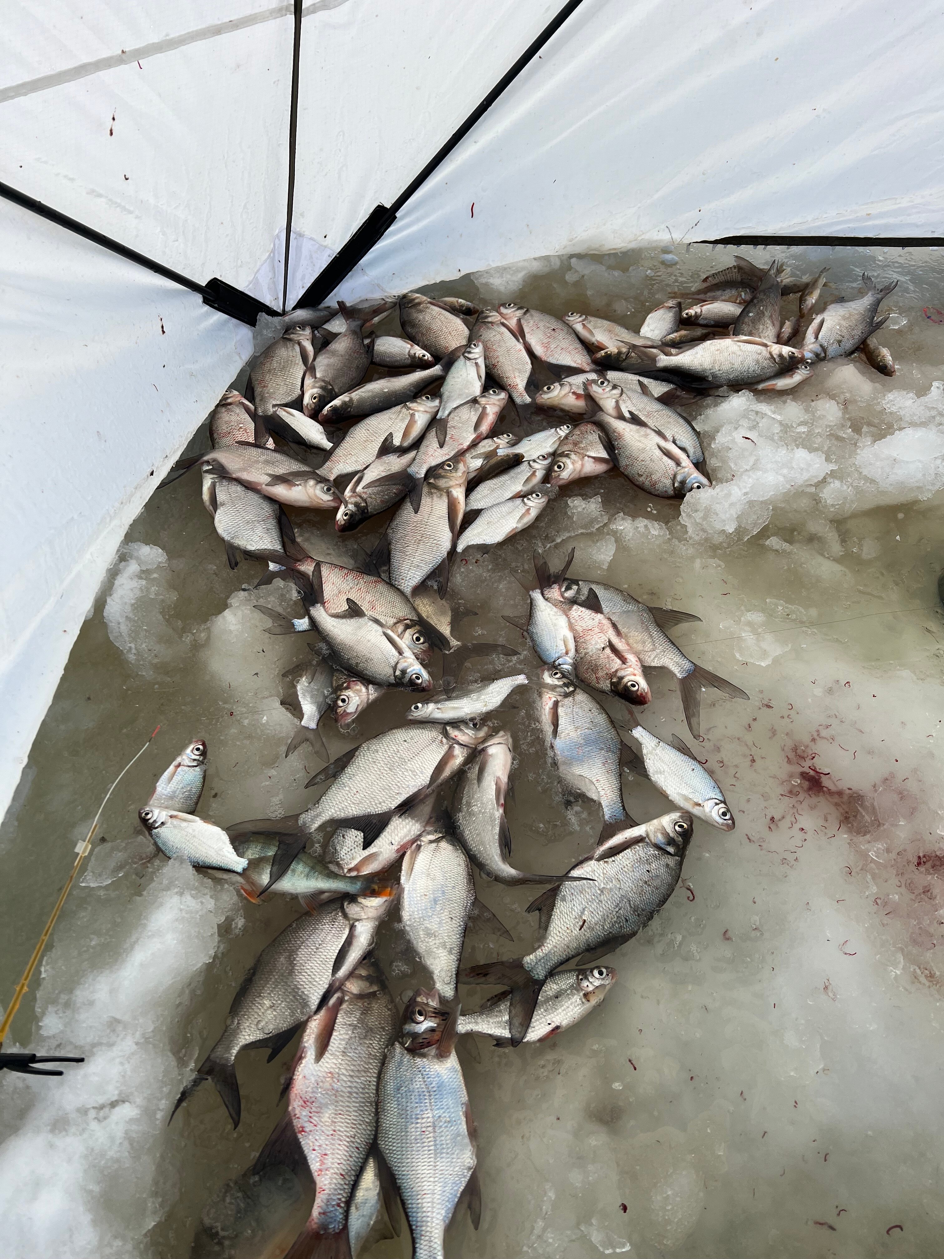 Фото Выродово-Клуб