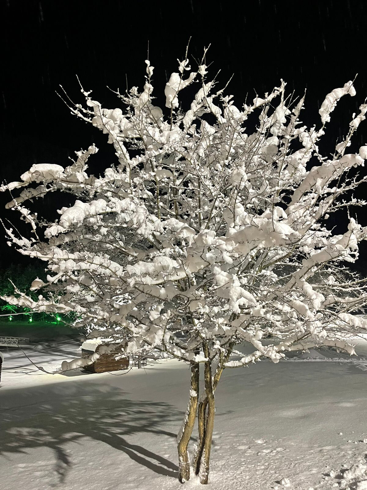 Фото Голубое озеро