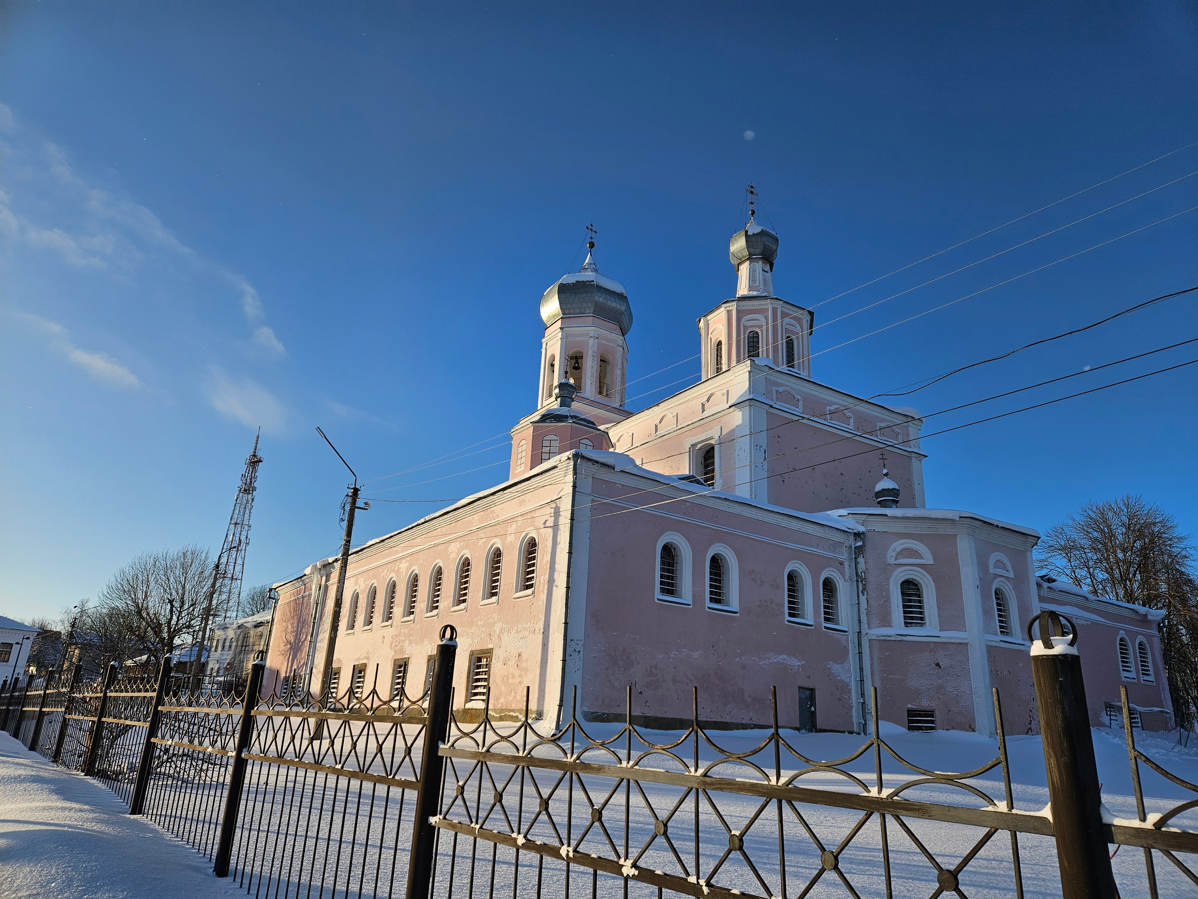 Фото Сорока