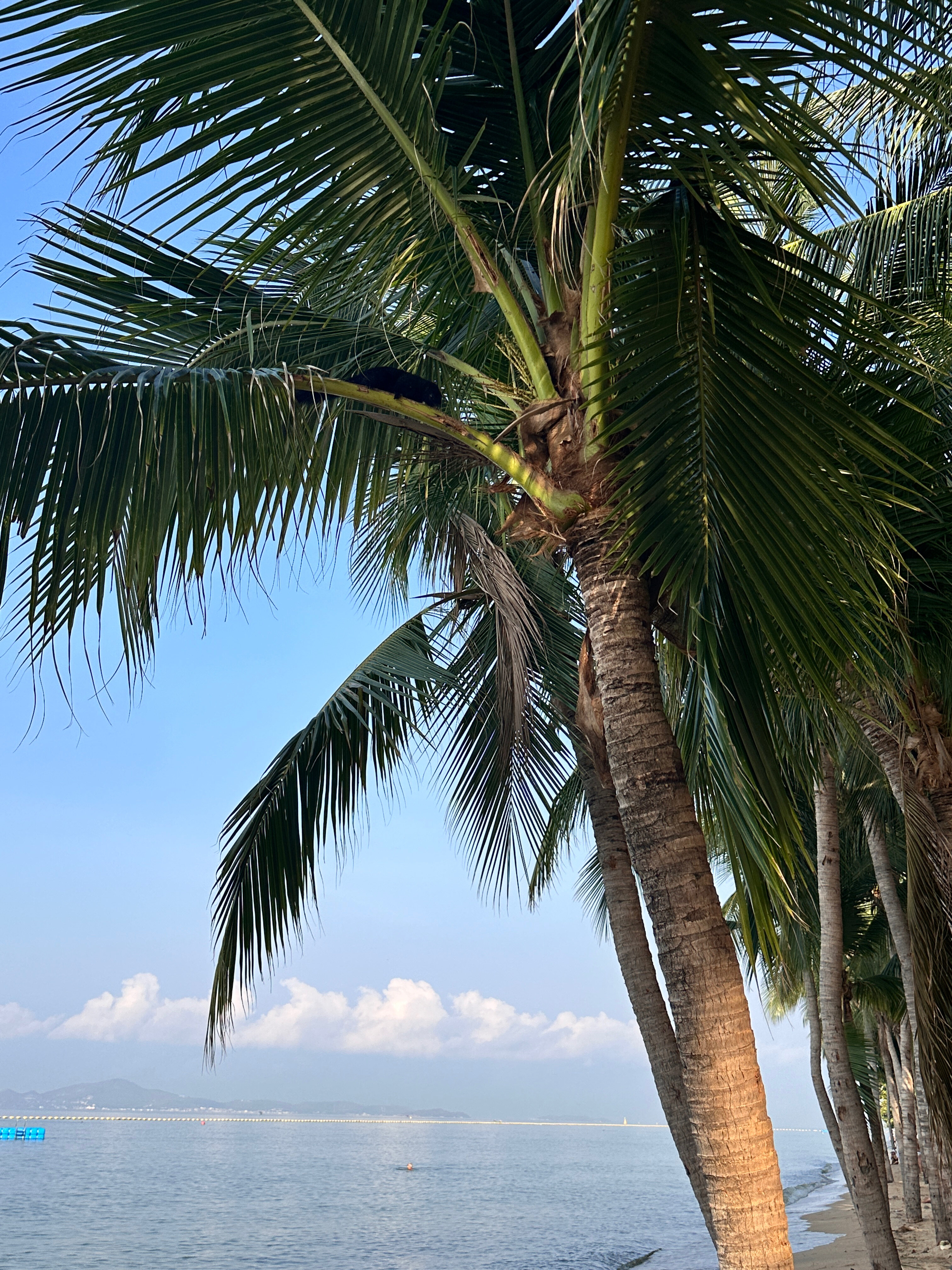 Фото Pooh Beach Resort & SPA