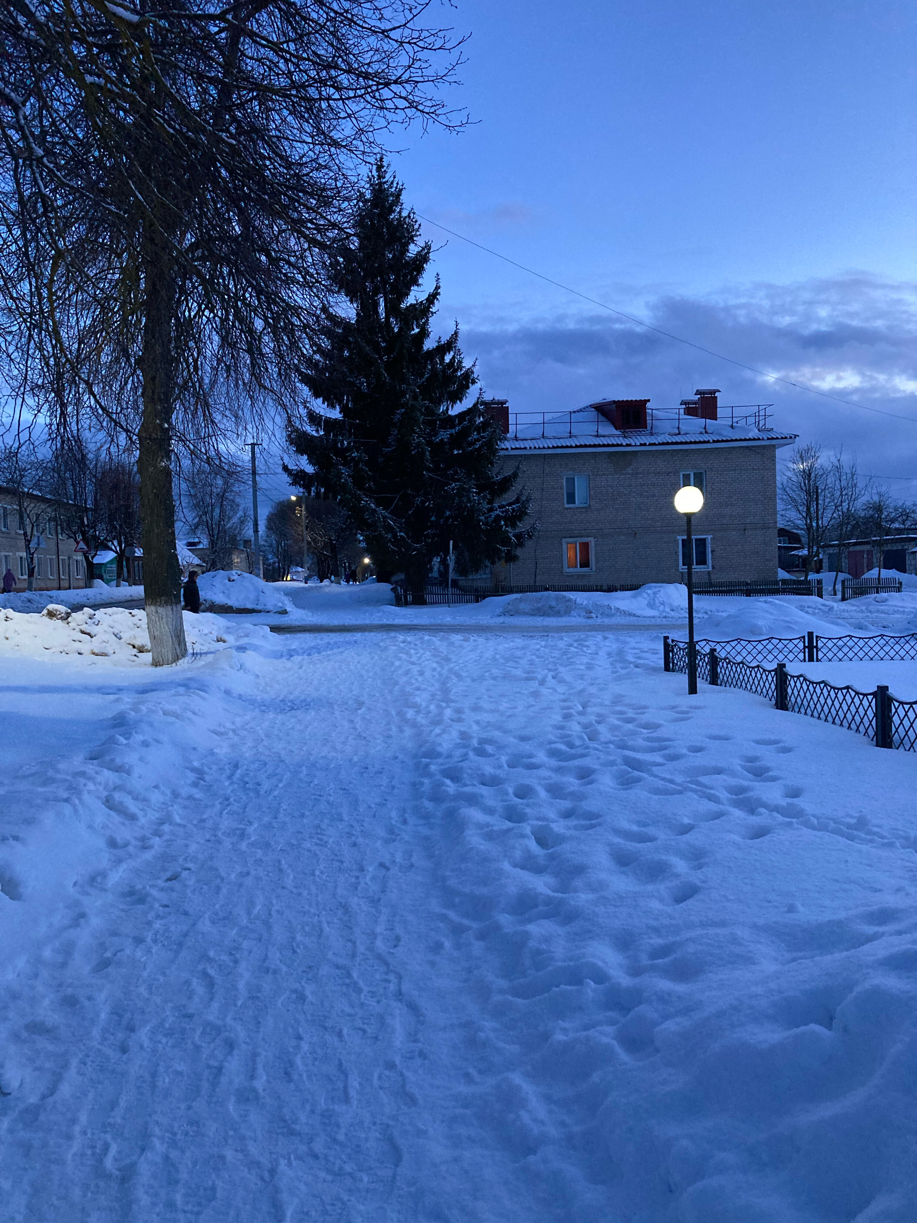 Фото Родина