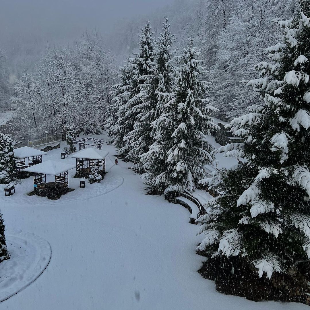 Фото Отель Гуамка